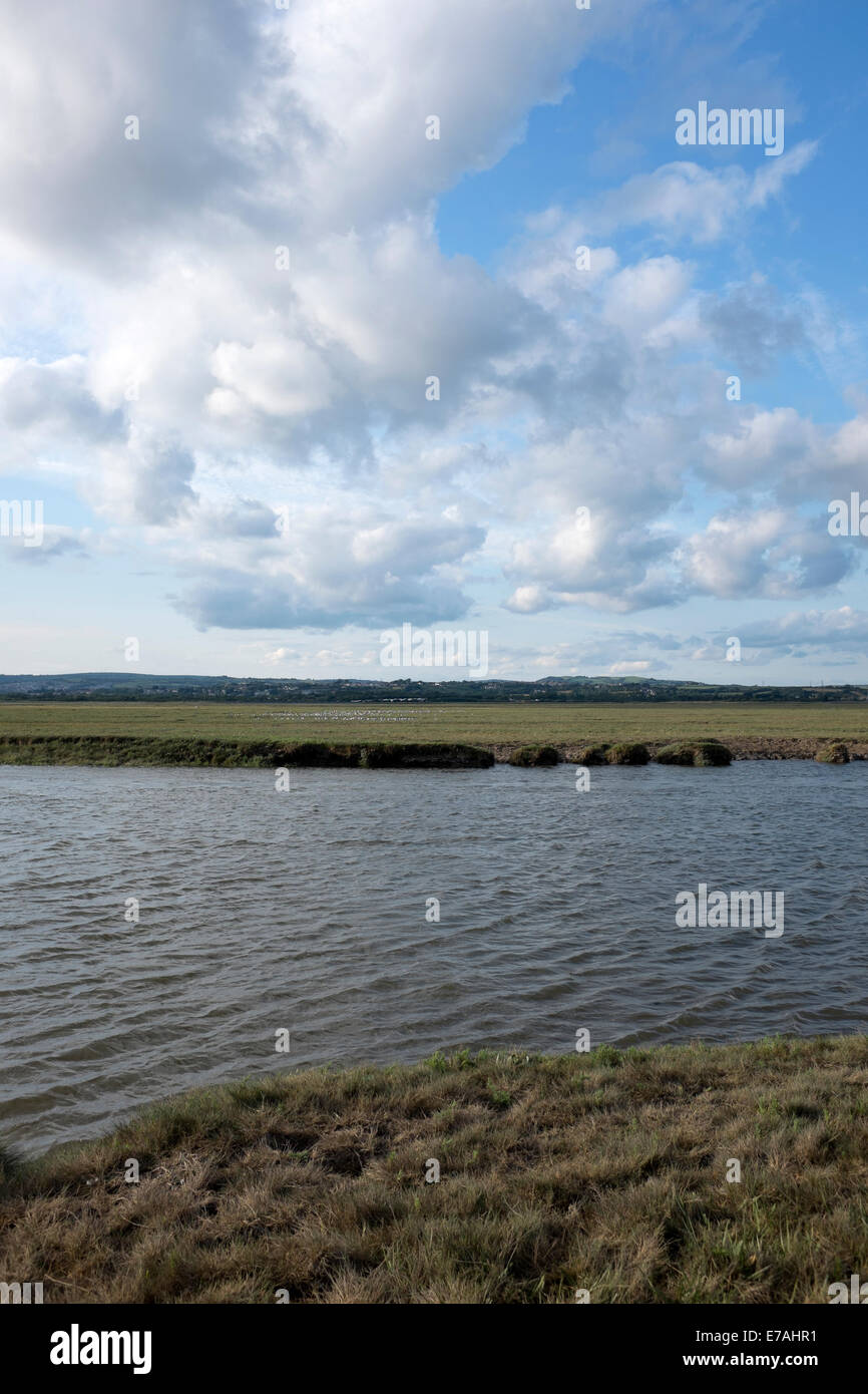 Boggy land hires stock photography and images Alamy