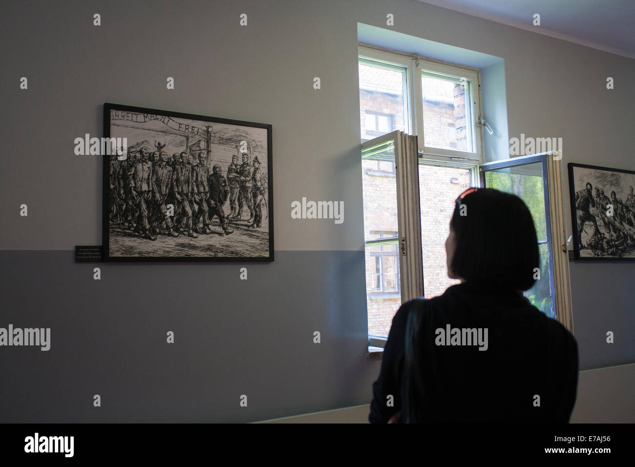 Visitor looking at picture on wall inside the Auschwitz concentration camp, Auschwitz, Poland Stock Photo