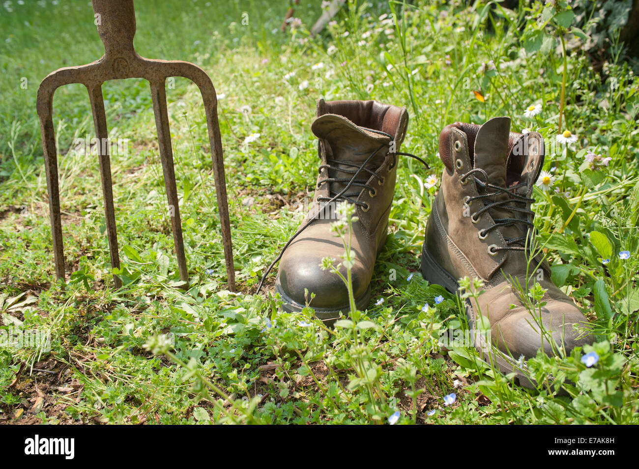 gardening tools on grass,closeup Stock Photo Alamy