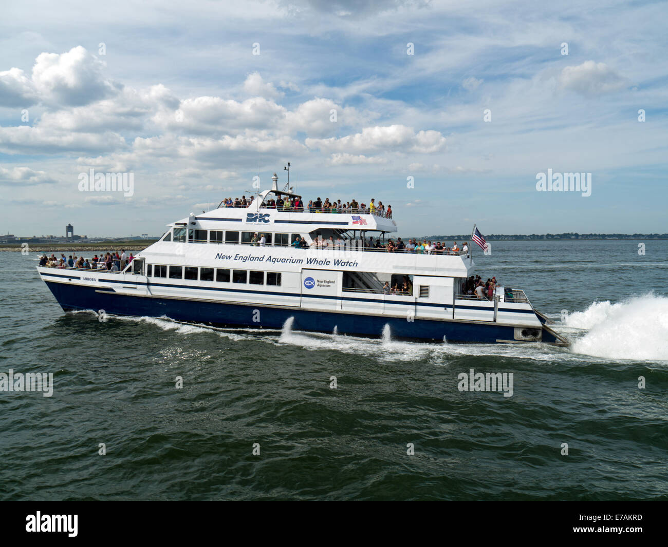 New England Aquarium Whale Watching boat Boston Harbor, Boston