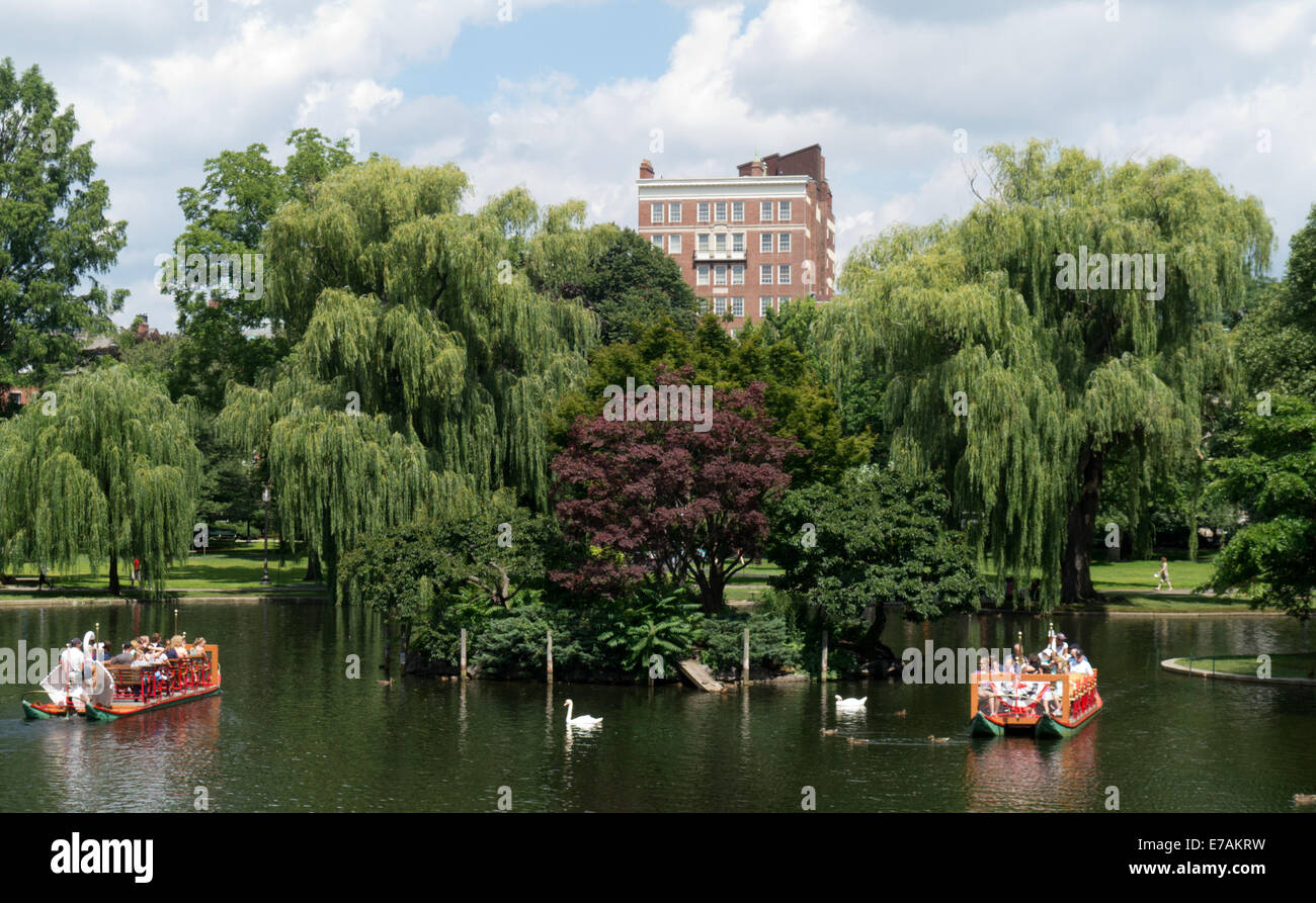 Swan boats on the pond in the public gardens on Boston Common, Boston