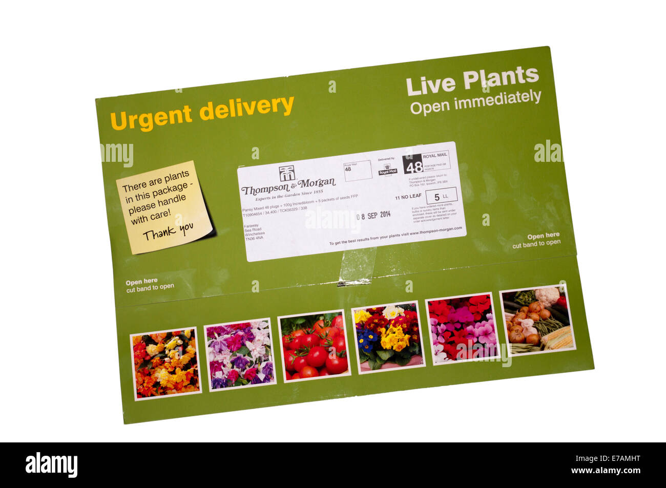 Mail Order Plug Plants Stock Photo Alamy