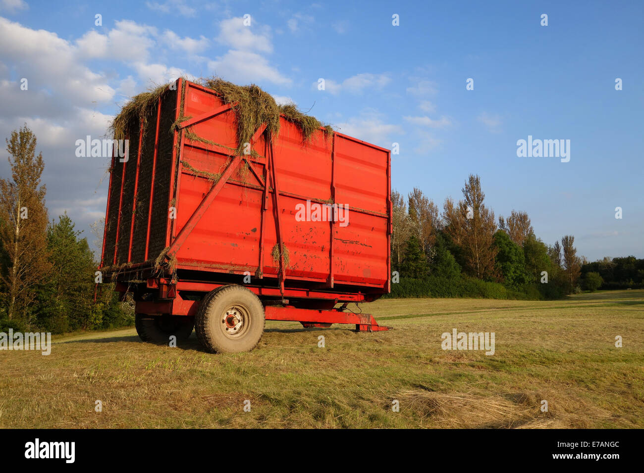 Red farm trailer loaded with grass hay summer evening britain Uk Stock Photo