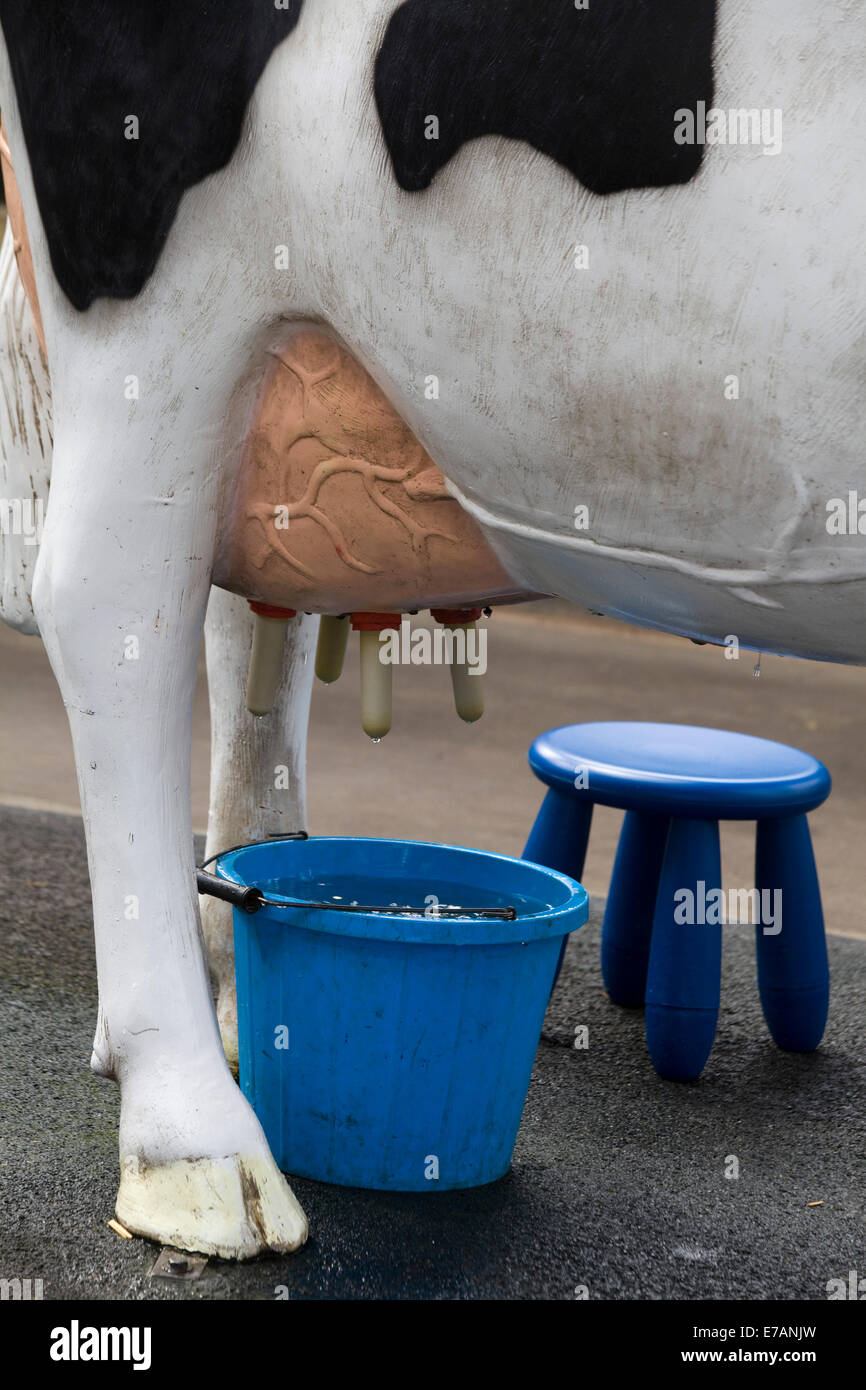 A Model of a cow for the public to practice Milking with Stock Photo