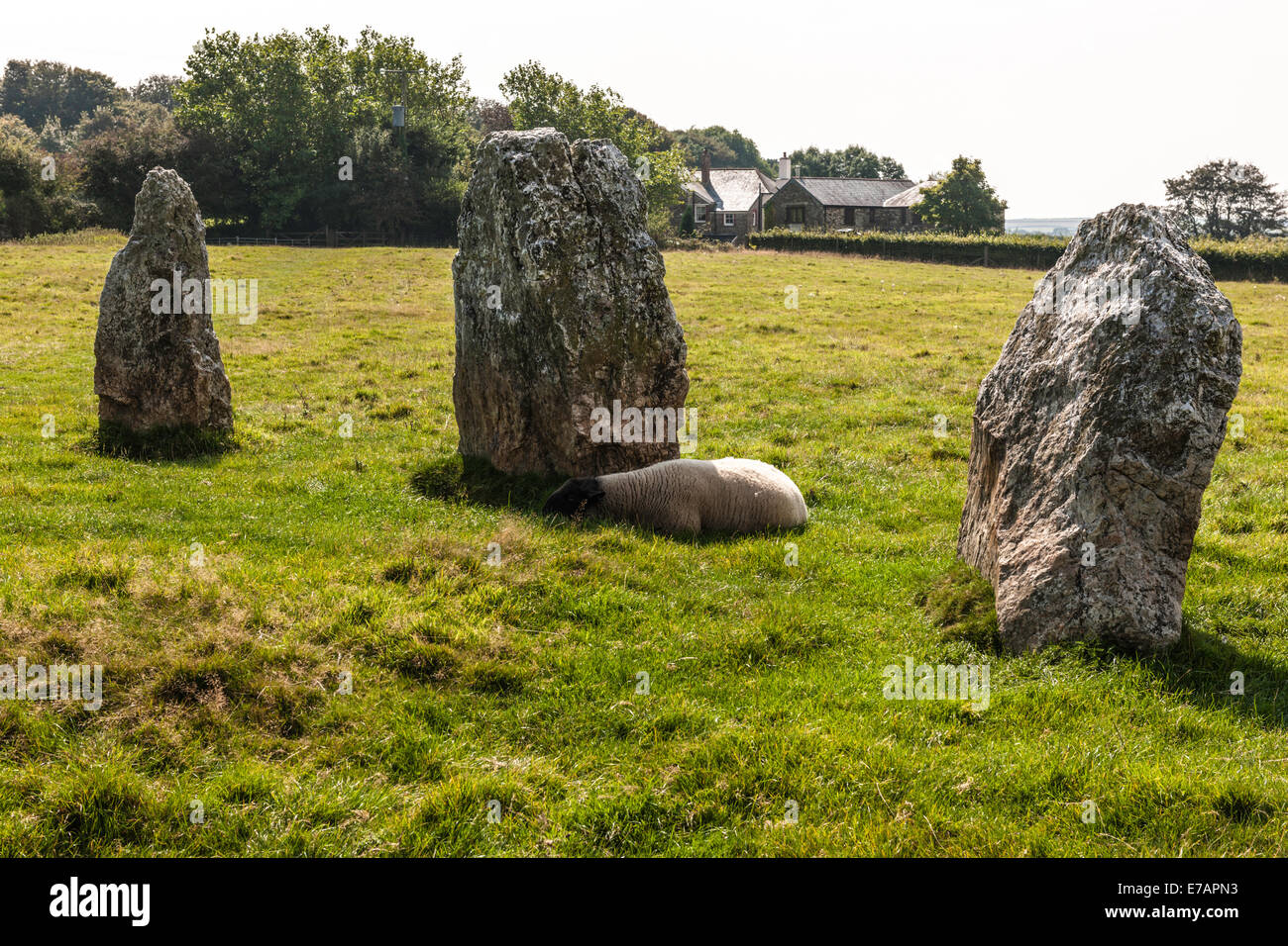 DULOE STONE CIRCLE, DULOE, CORNWALL, BRONZE AGE, ENGLAND, BRITAIN Stock Photo