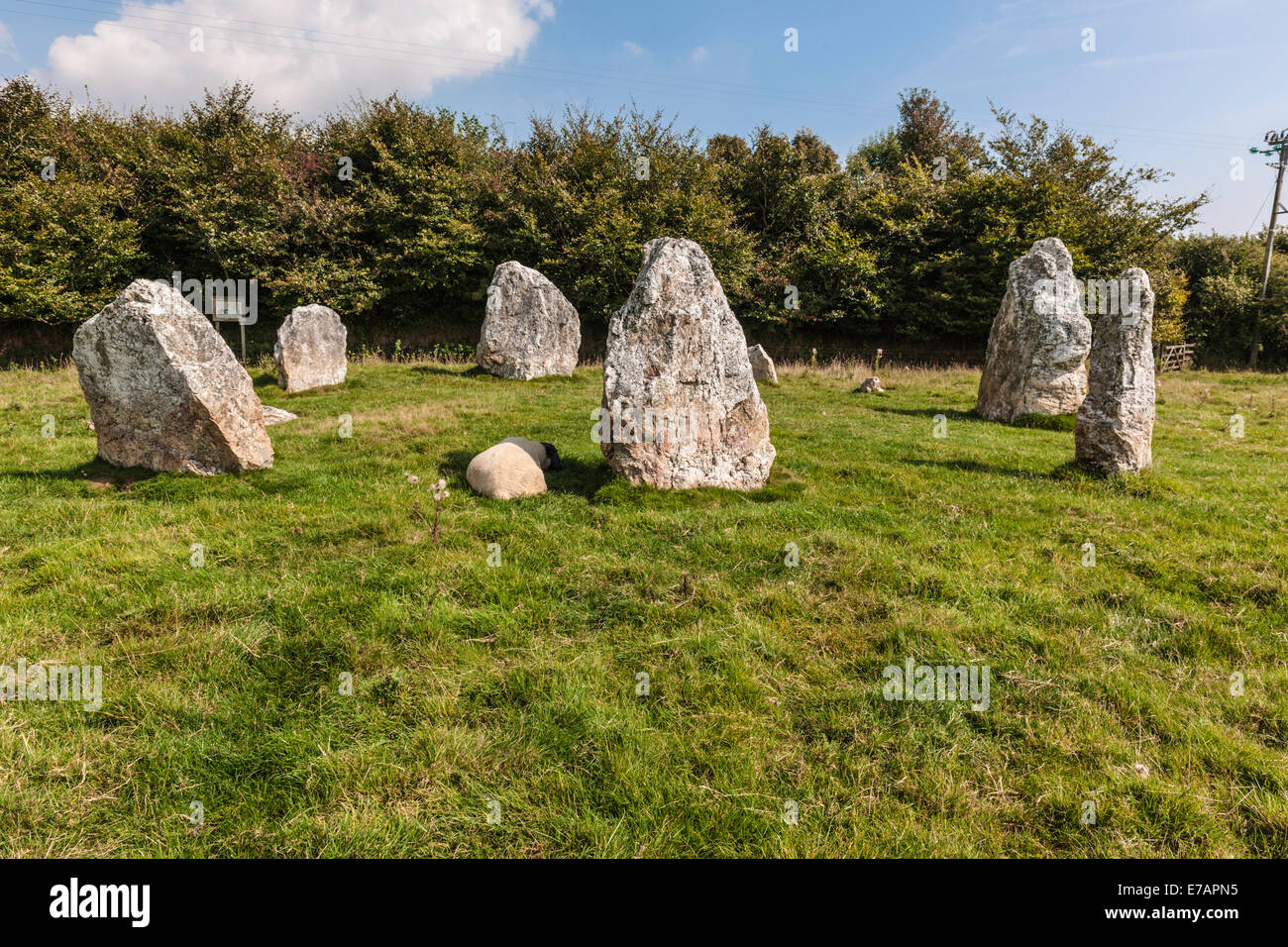 DULOE STONE CIRCLE, DULOE, CORNWALL, BRONZE AGE, ENGLAND, BRITAIN Stock Photo