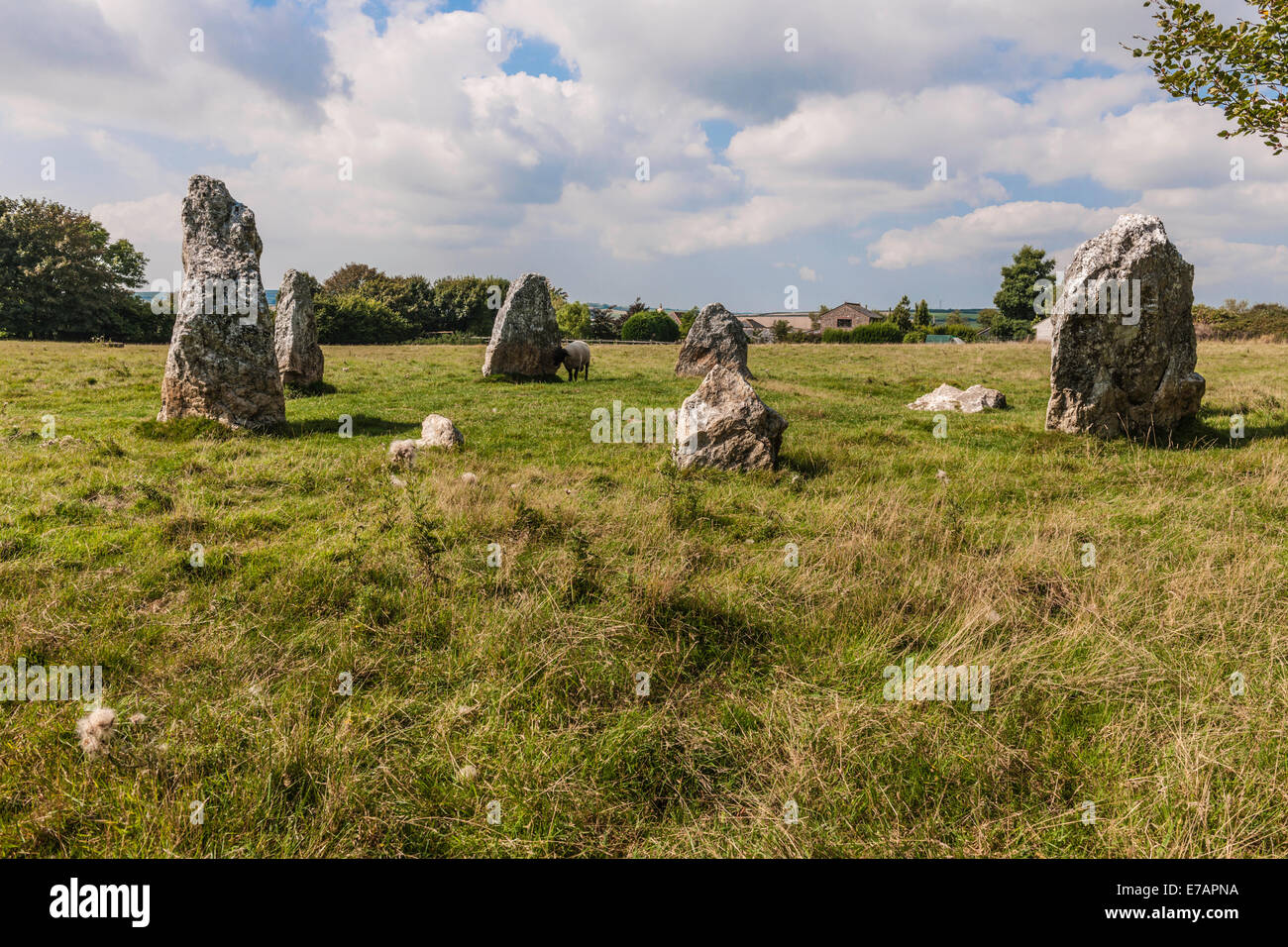 DULOE STONE CIRCLE, DULOE, CORNWALL, BRONZE AGE, ENGLAND, BRITAIN Stock