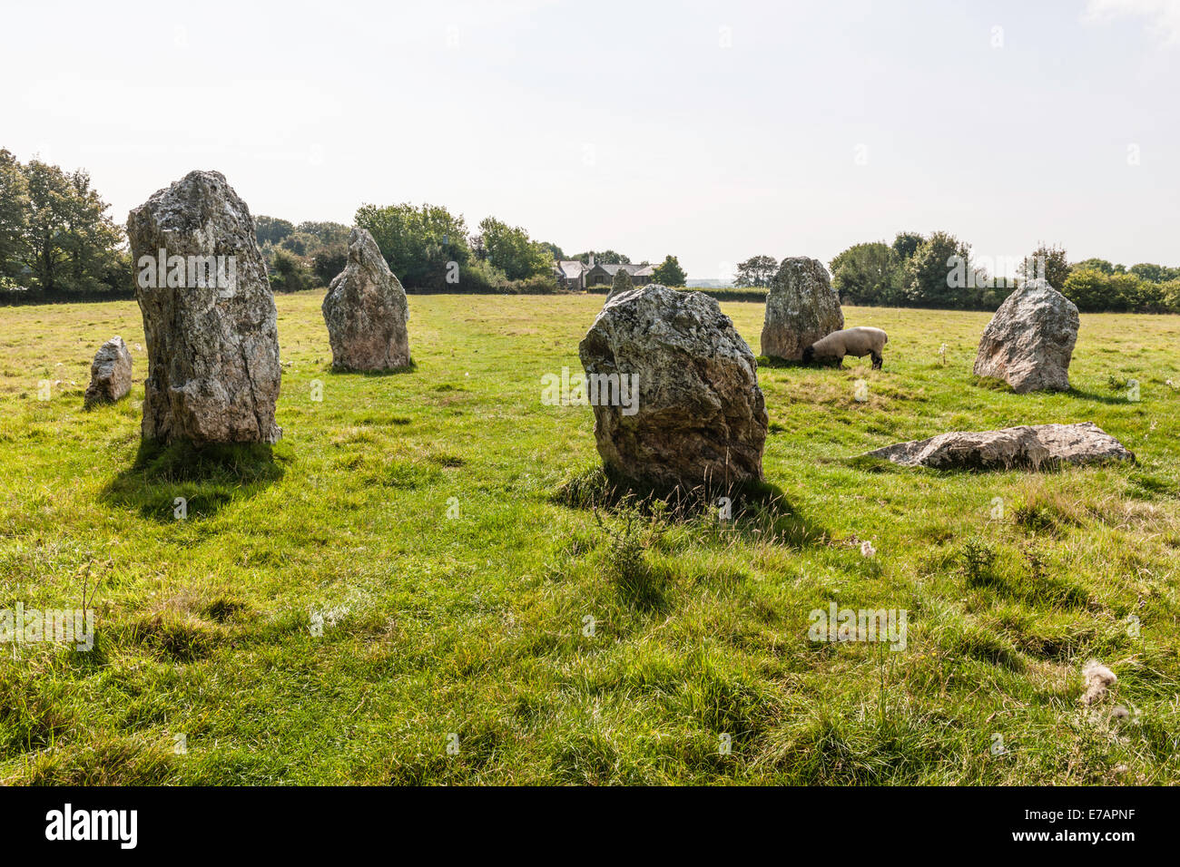 DULOE STONE CIRCLE, DULOE, CORNWALL, BRONZE AGE, ENGLAND, BRITAIN Stock