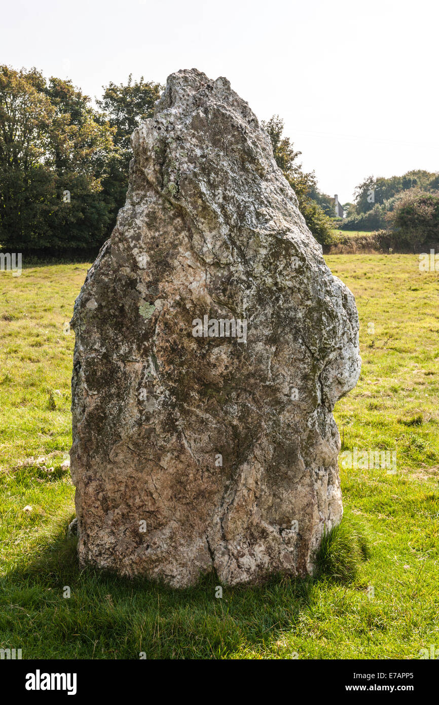 DULOE STONE CIRCLE, DULOE, CORNWALL, BRONZE AGE, ENGLAND, BRITAIN Stock Photo