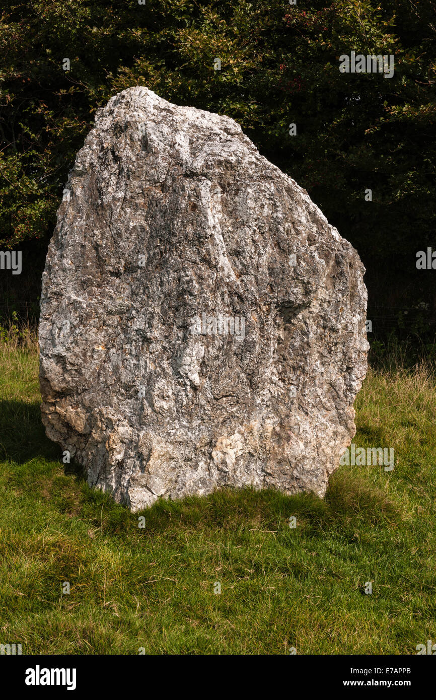 DULOE STONE CIRCLE, DULOE, CORNWALL, BRONZE AGE, ENGLAND, BRITAIN Stock