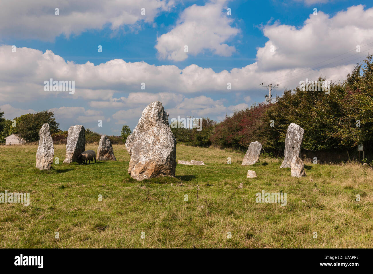 DULOE STONE CIRCLE, DULOE, CORNWALL, BRONZE AGE, ENGLAND, BRITAIN Stock