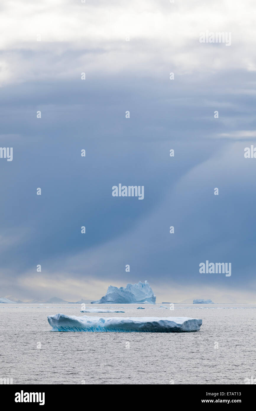 Icebergs floating in the sea near Adelaide Island, Antarctica Stock Photo