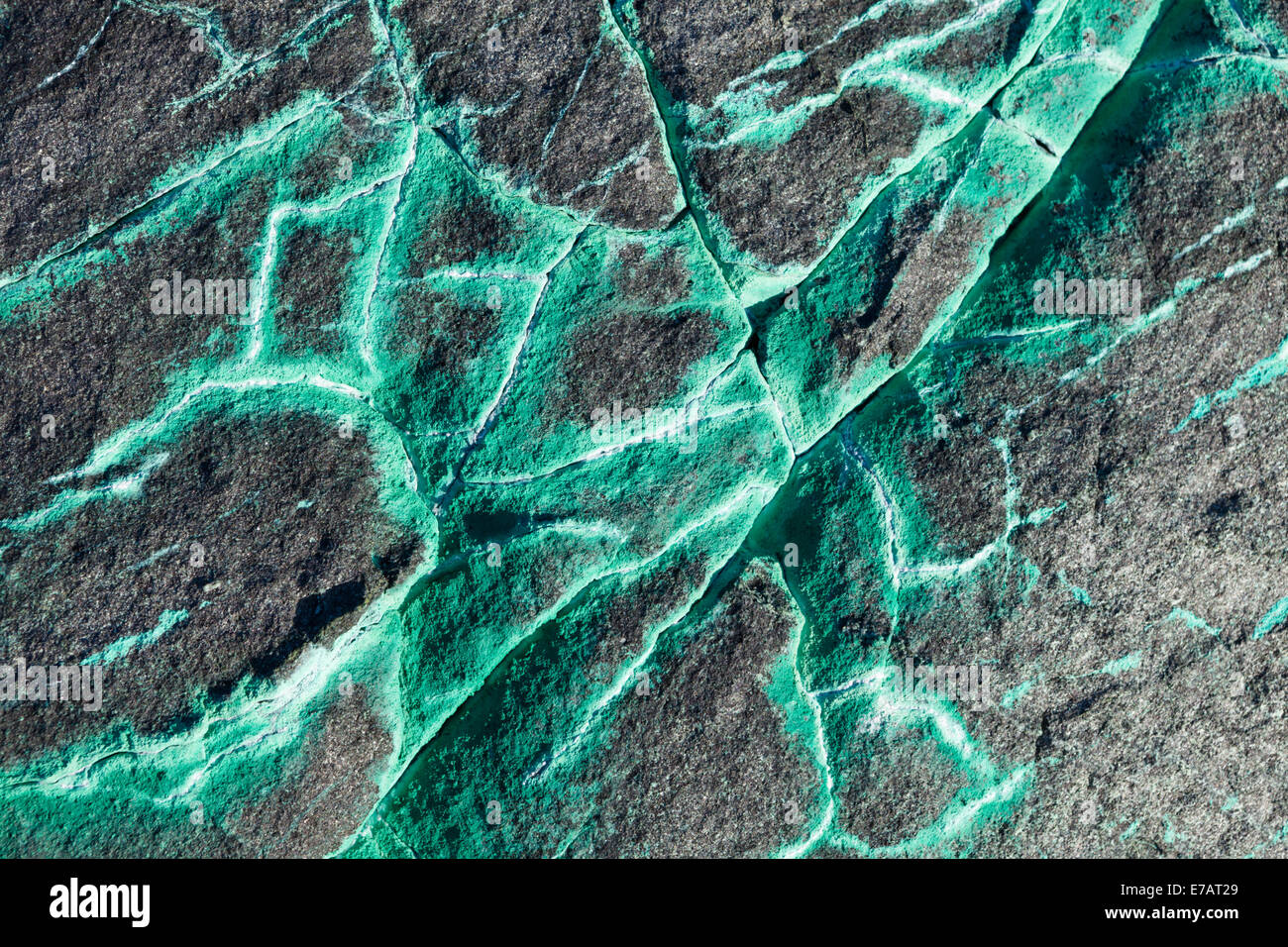 Bright green copper ore cracks in a rock, Horseshoe Island, Marguerite