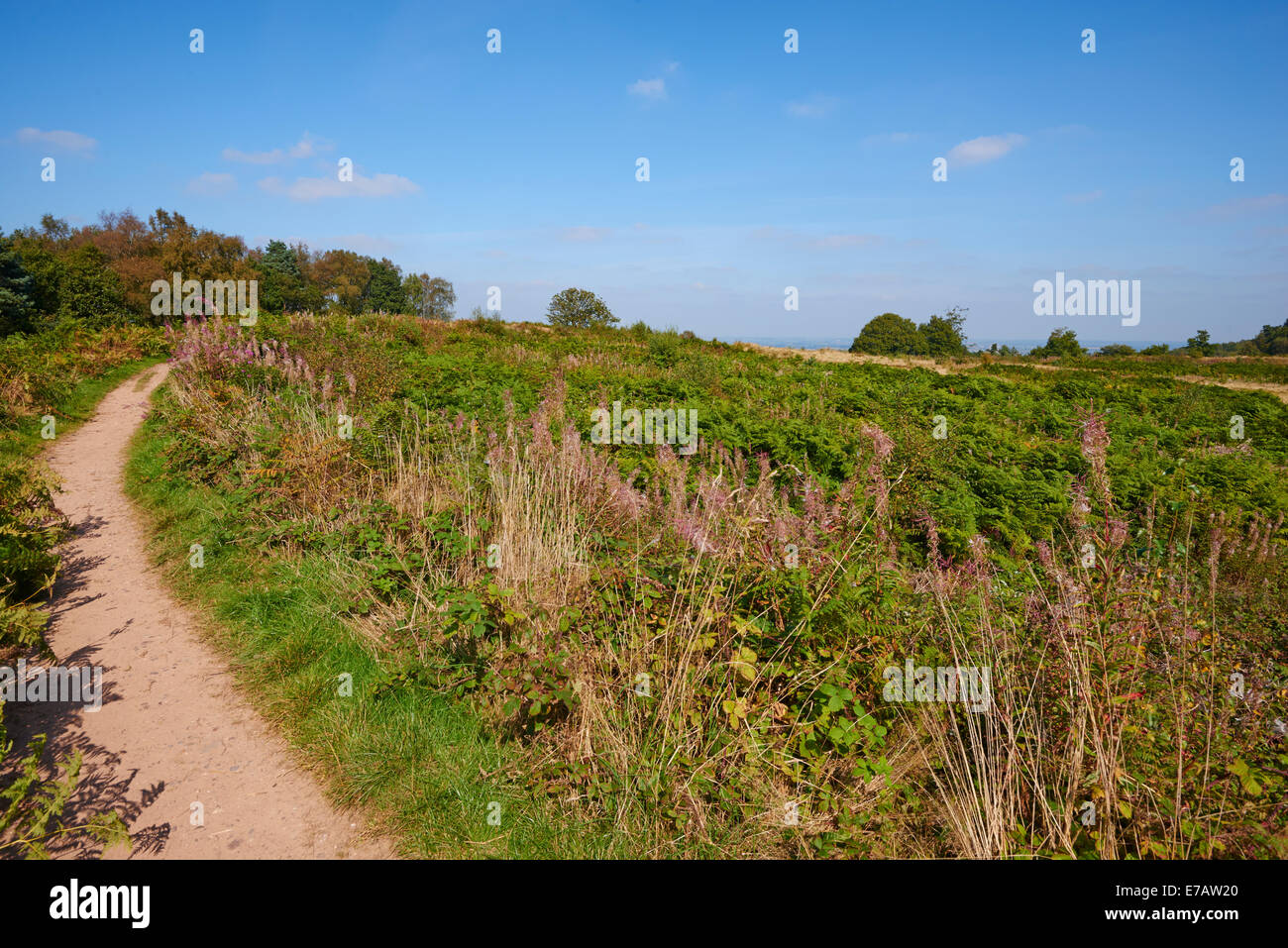 Castle ring, cannock chase hires stock photography and images Alamy