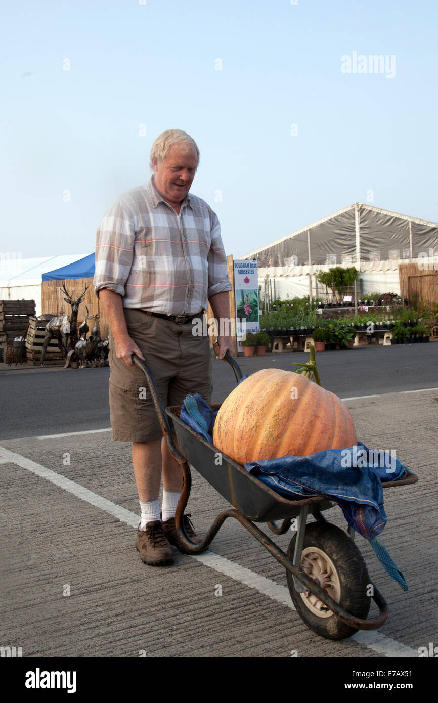 Harrogate, Yorkshire, UK. 11th Sept, 2014.  Andrew Jarrow wheeling his Giant Pumpkin atd the Harrogate Annual Autumn Flower Show, Yorkshire Showground, ranked as one of Britain's top three gardening events.  New for 2014 is Inspiration Street, a series of small gardens set against the backdrop of a traditional street scene. The Avenue will offer beautiful, larger scale gardens, plus a new Community Spirit feature with ‘message in a garden’ designs from community groups and charities. Credit:  Mar Photographics/Alamy Live News. Stock Photo