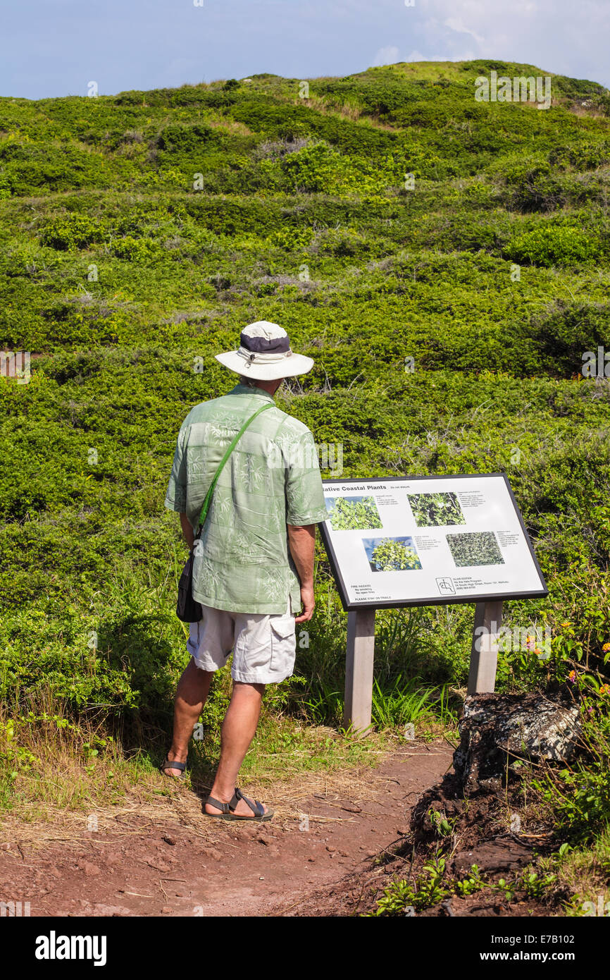 Hiker on the Ohai Trail on Maui Stock Photo