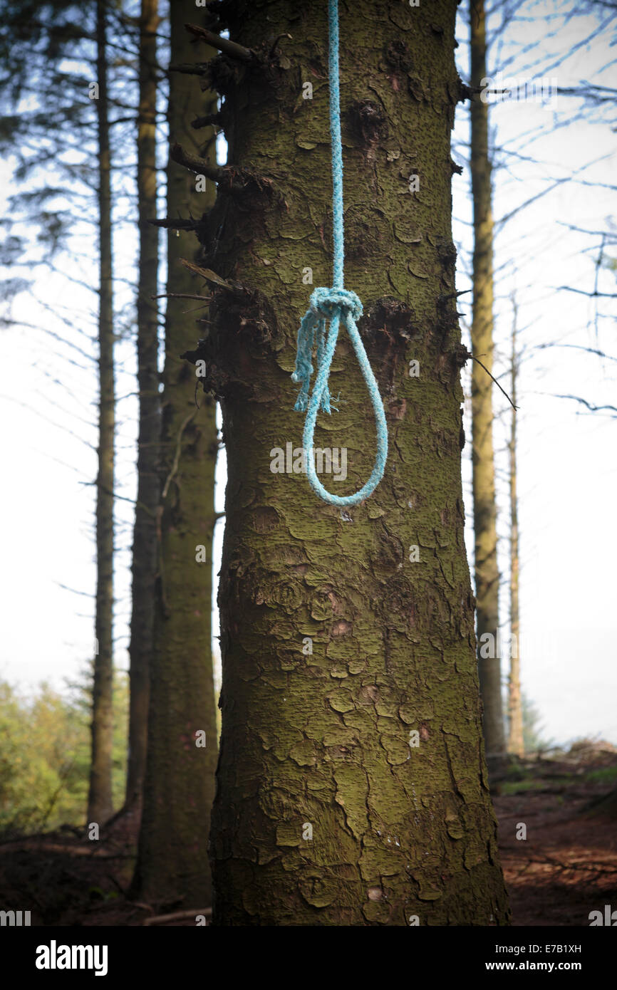 Noose and tree hi-res stock photography and images - Alamy