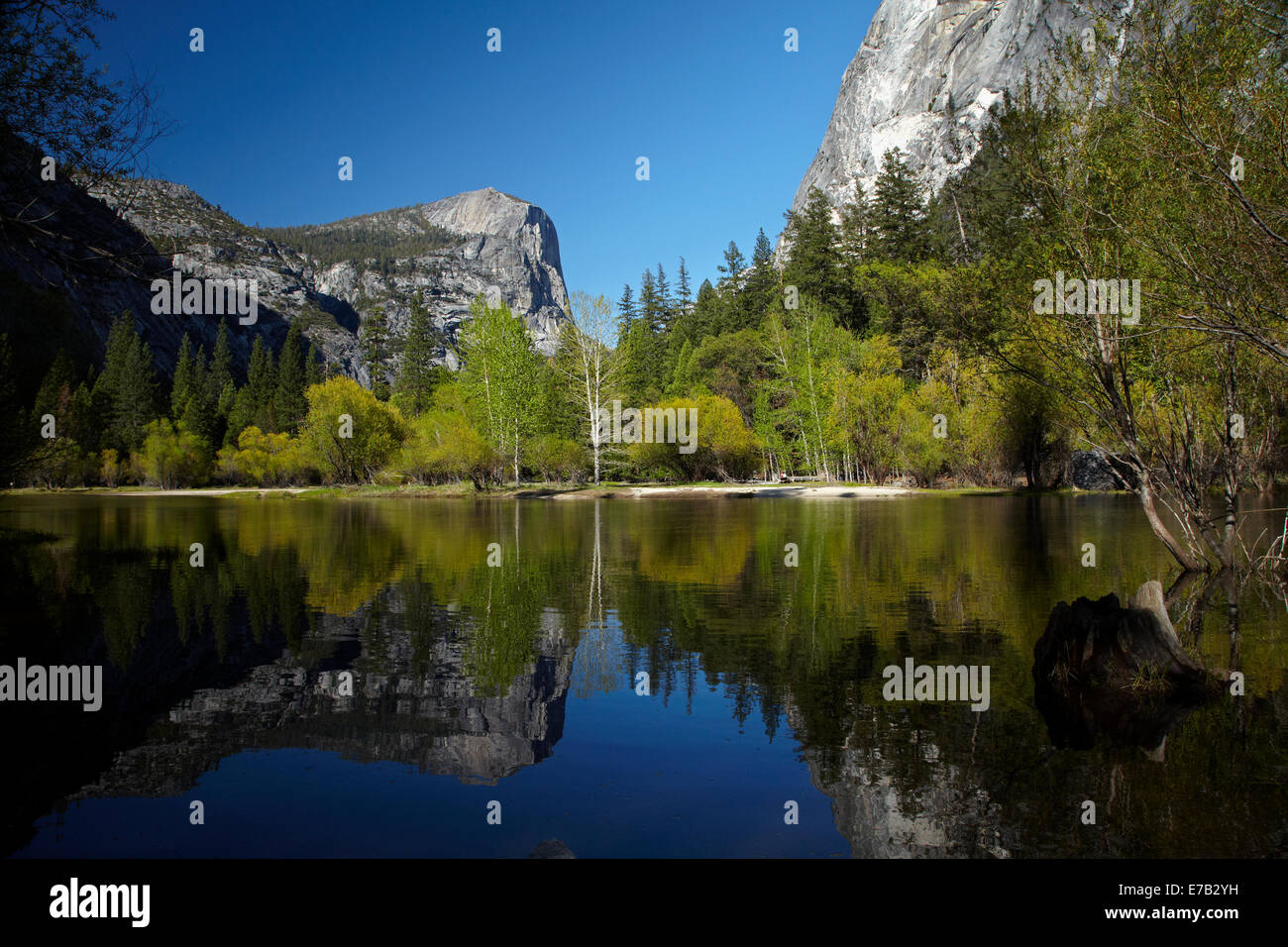 Mt Watkins and Half Dome (at right) reflected in Mirror Lake, Yosemite National Park, California, USA Stock Photo