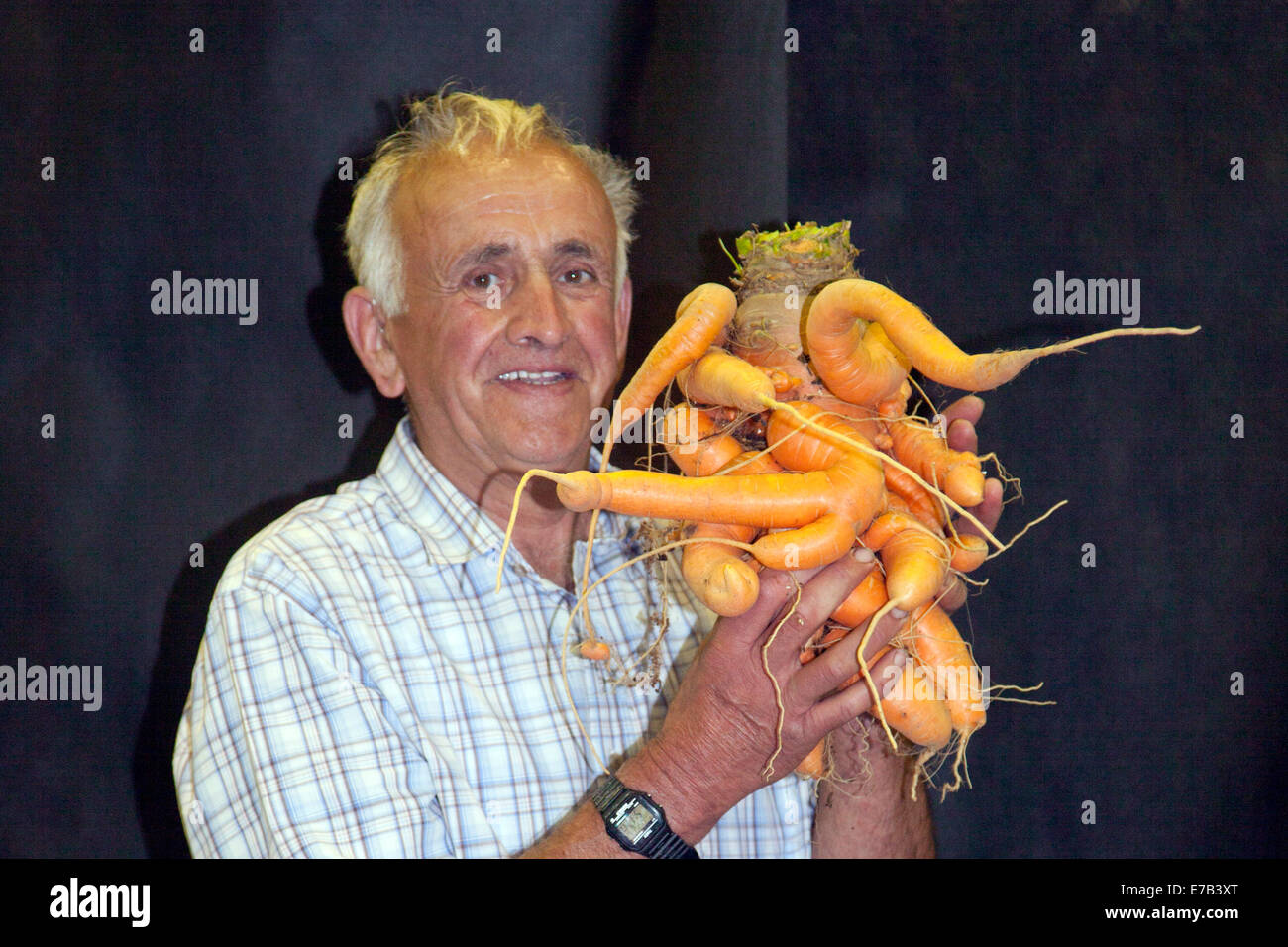Harrogate, Yorkshire, UK. 11th Sept, 2014.  Ian Neale with Giant Vegetable a deformed, misshapen, malformed, distorted, crooked, irregular, misproportioned, ill-proportioned, ill-shaped, ugly carrot at the  Annual Autumn Flower Show. Attractions include the giant vegetable competition, is ranked as one of Britain's top three gardening events.  New for 2014 is Inspiration Street, a series of small gardens set against the backdrop of a traditional street scene. The Avenue will offer beautiful, larger scale gardens, plus a new Community Spirit feature with ‘message in a garden’ designs from com Stock Photo