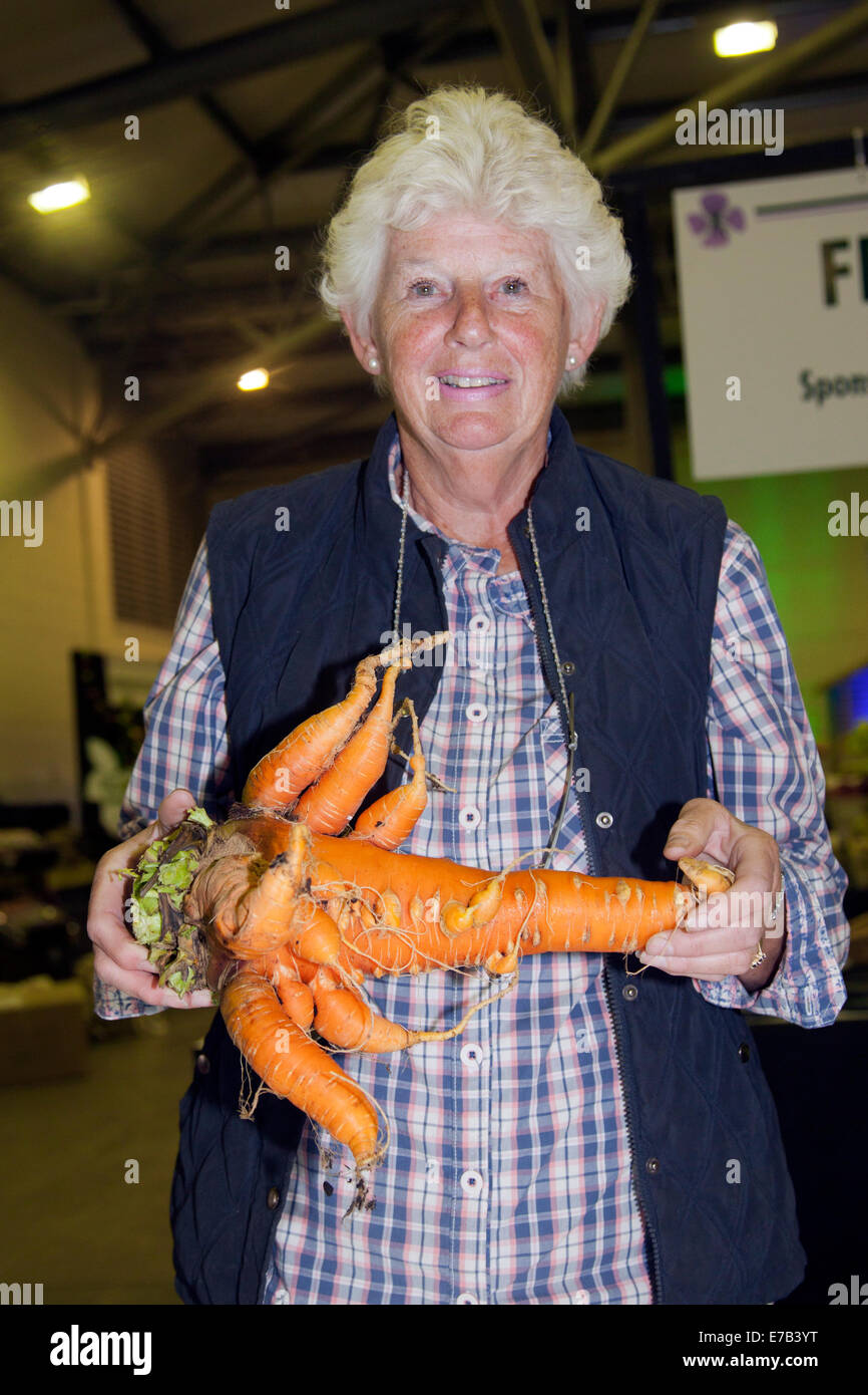 Harrogate, Yorkshire, UK. 11th Sept, 2014.  Pamela Jackson with giant vegetable carrot, a deformed, misshapen, malformed, distorted, crooked, irregular, misproportioned, ill-proportioned, ill-shaped, ugly betable at the Harrogate Annual Autumn Flower Show, Yorkshire Showground, ranked as one of Britain's top three gardening events. Stock Photo