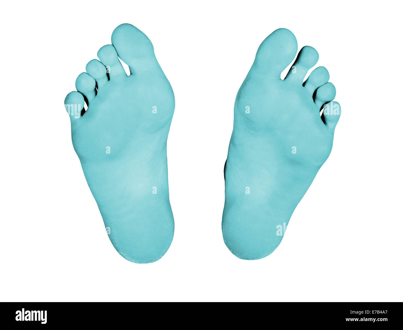 Feet isolated on a white background, blue feet Stock Photo Alamy