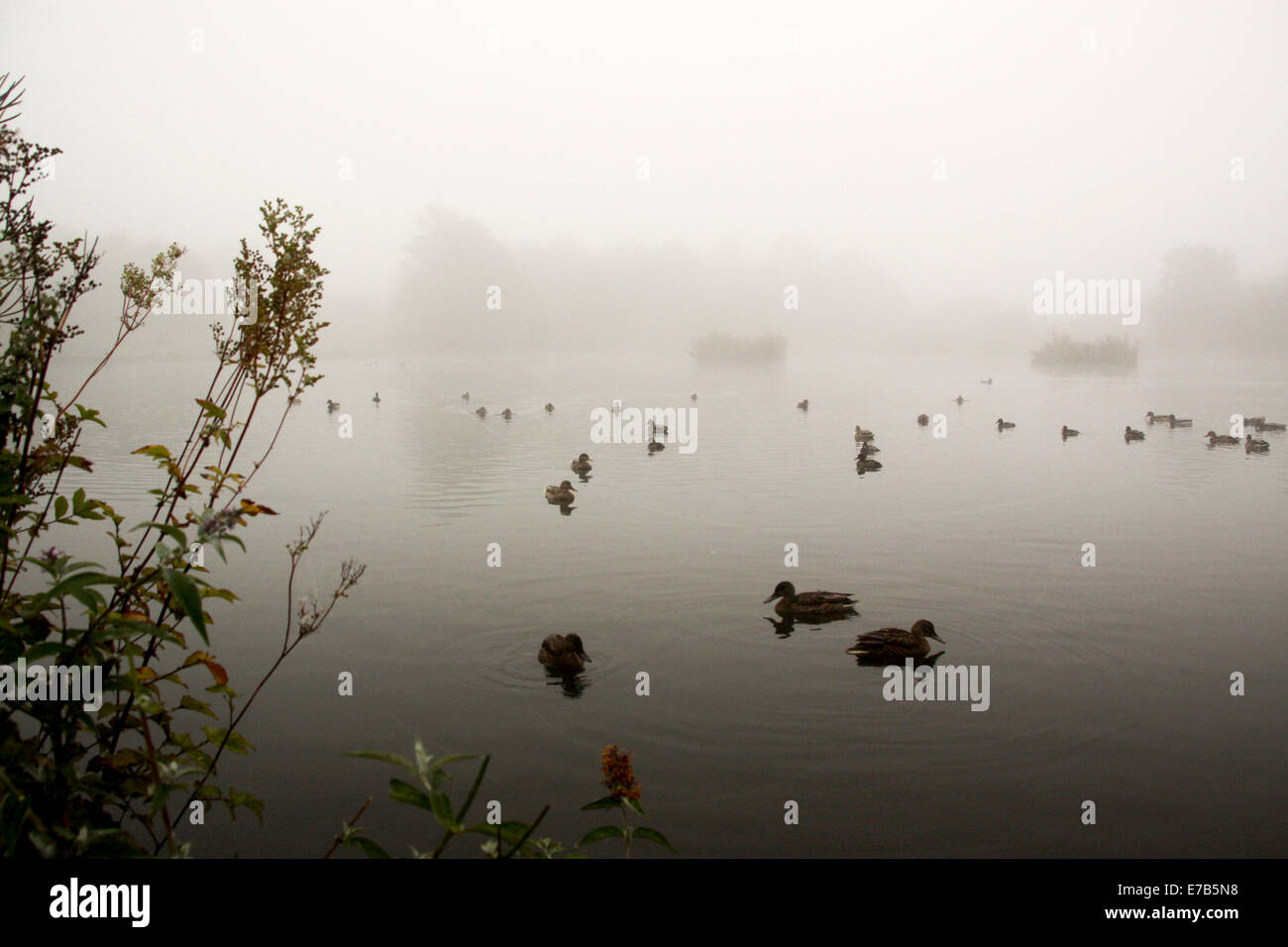 Lennoxtown Scotland 12 Sept 2014. UK Weather. Foggy morning in