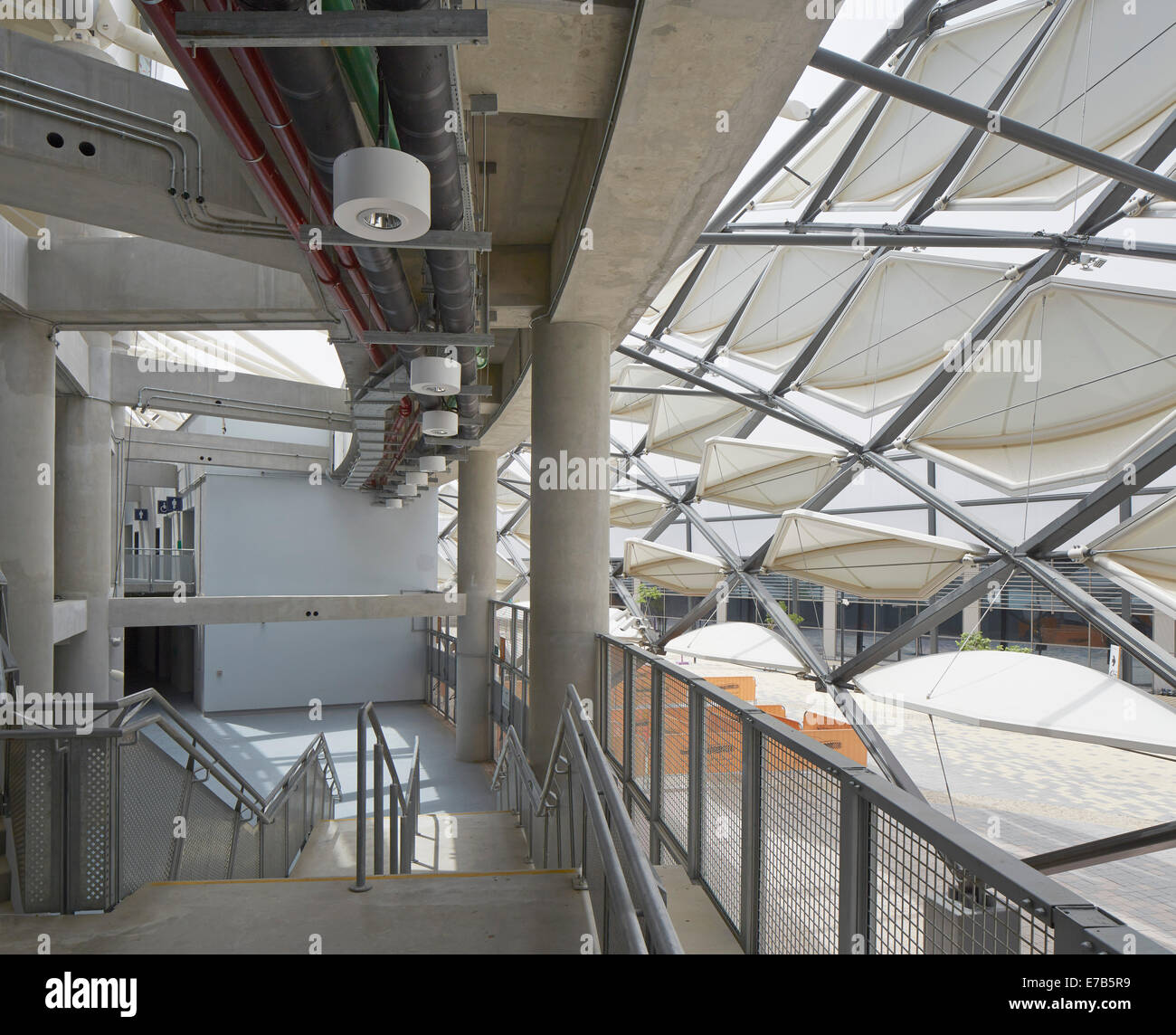 Hazza Bin Zayed Stadium, Al Ain, Al Ain, United Arab Emirates