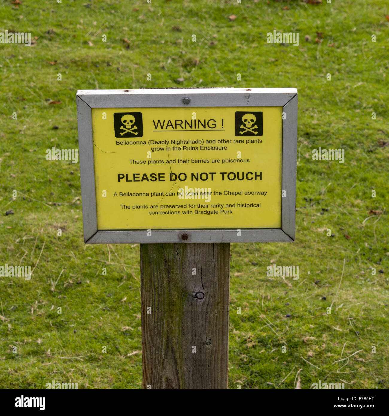 Yellow warning sign for poisonous Deadly Night Shade ( Belladonna) plant Stock Photo