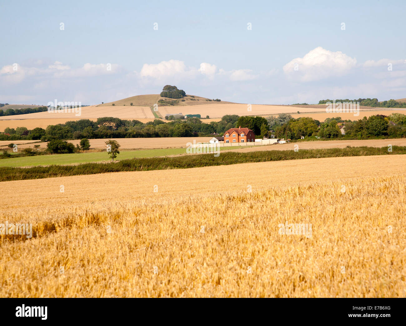 Summer landscape in the Vale of Pewsey view north east to Woodborough Hill, near Alton Barnes, Wiltshire, England Stock Photo