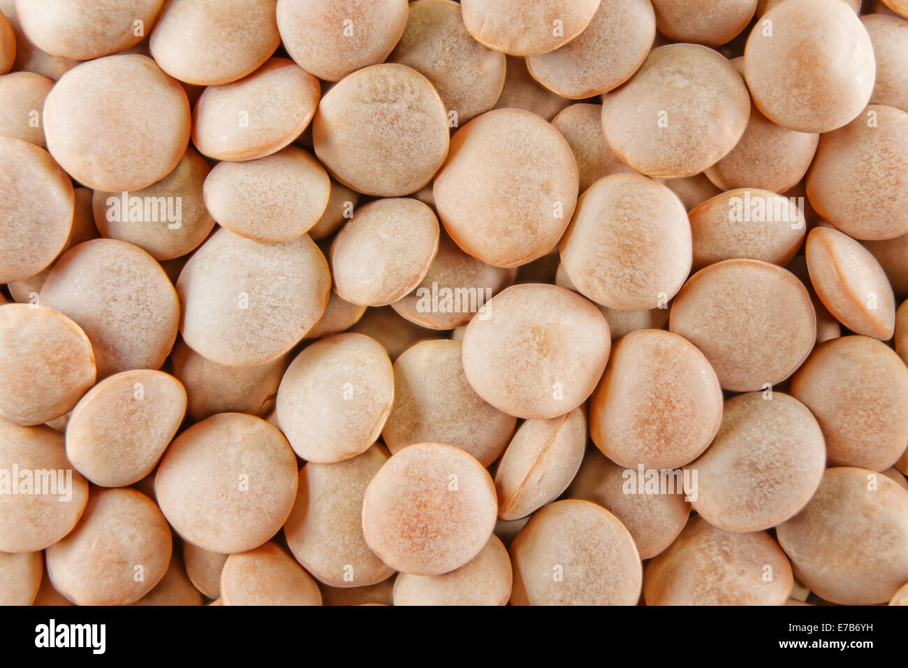 close up macro dry lentils top view Stock Photo Alamy