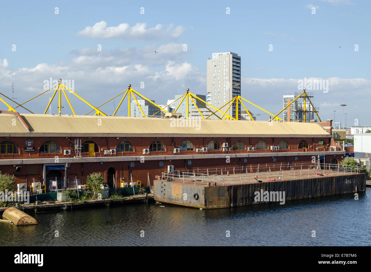 LONDON, UK JULY 1, 2014 The new Billingsgate Fish Market overlooking