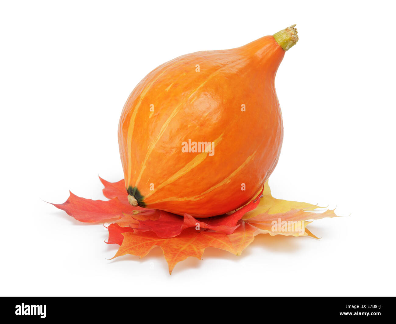 halloween pumpkin with leaves, isolated on white Stock Photo - Alamy