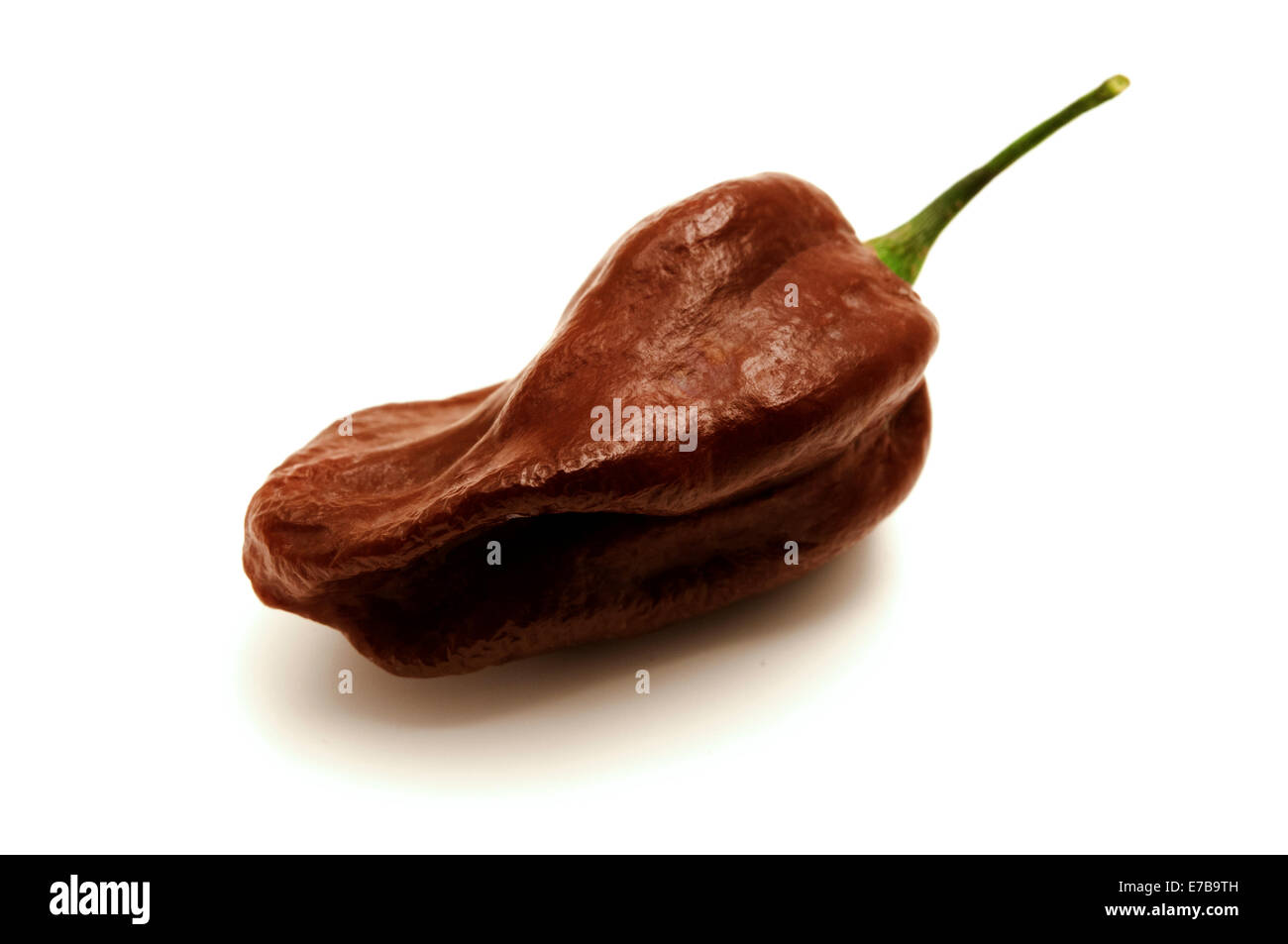 sail habanero red off white dunks