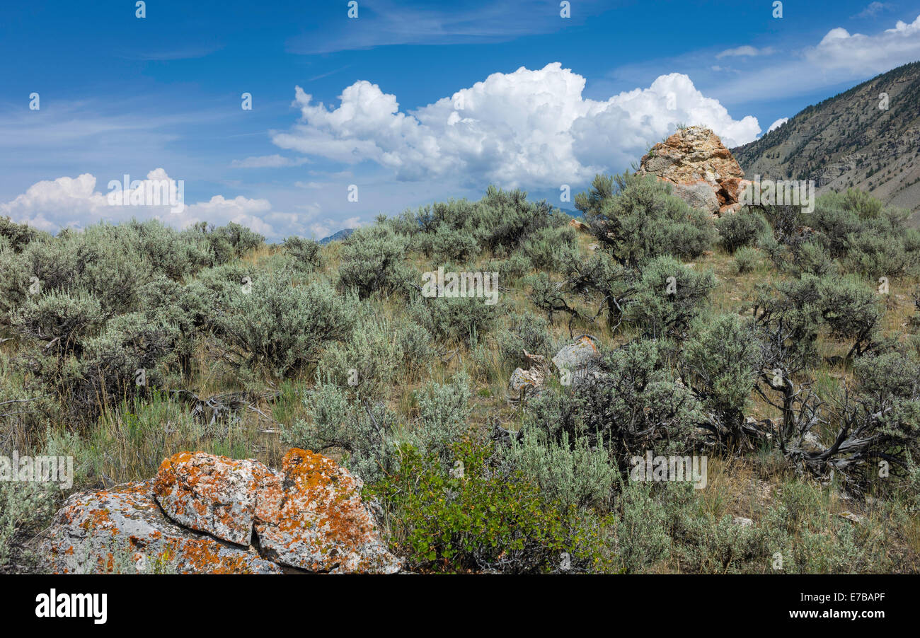 Rugged landscape of scrub land, rocks and high ground in