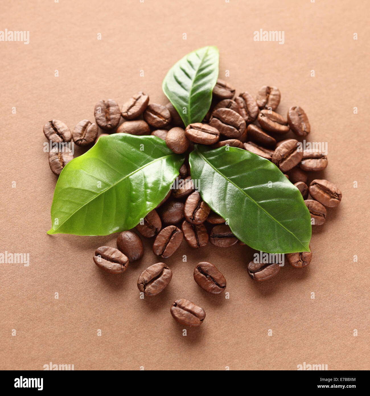 My Image 23