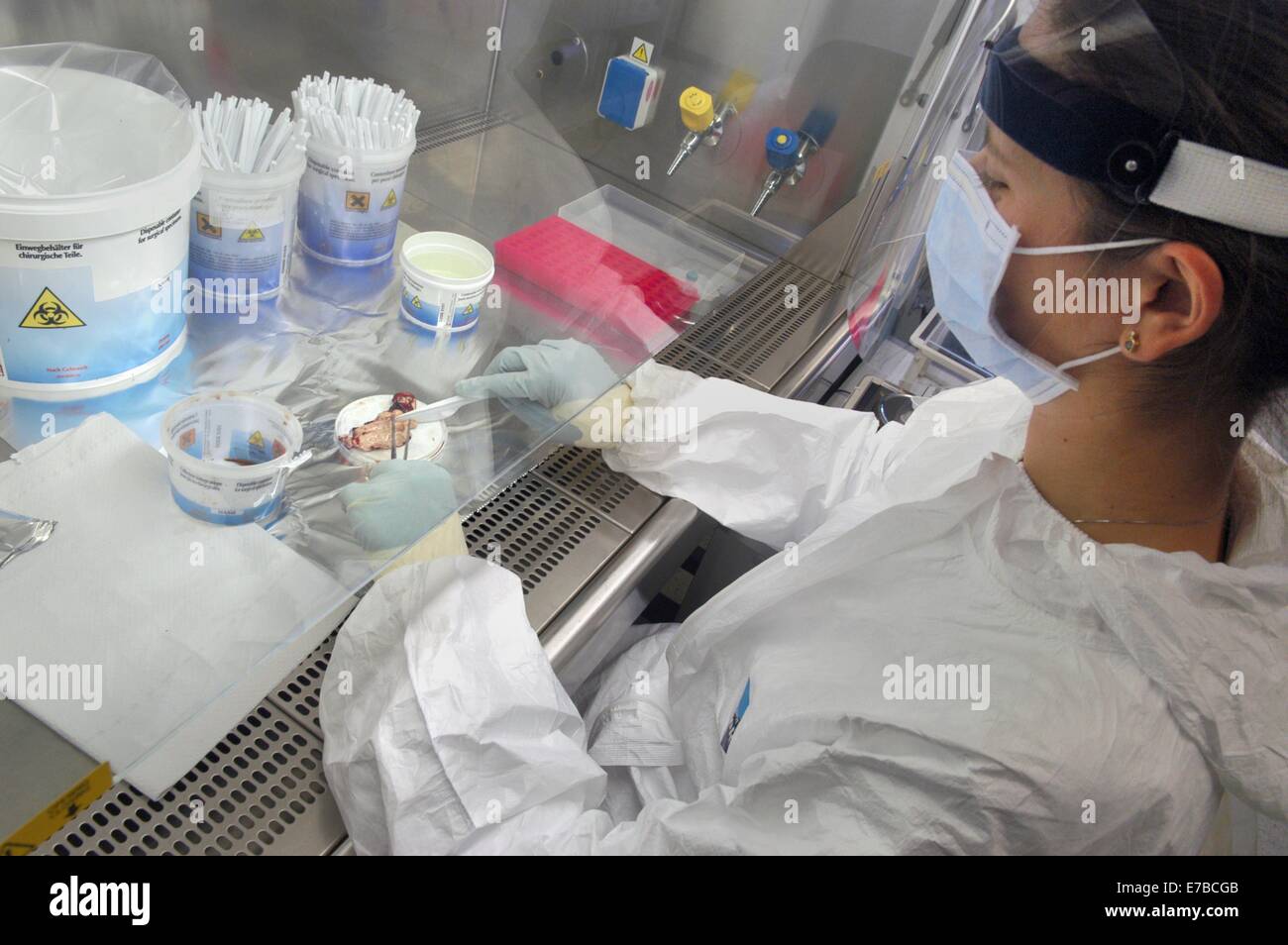 Experimental Zooprophylactic Institute of Padova (Italy), chemical