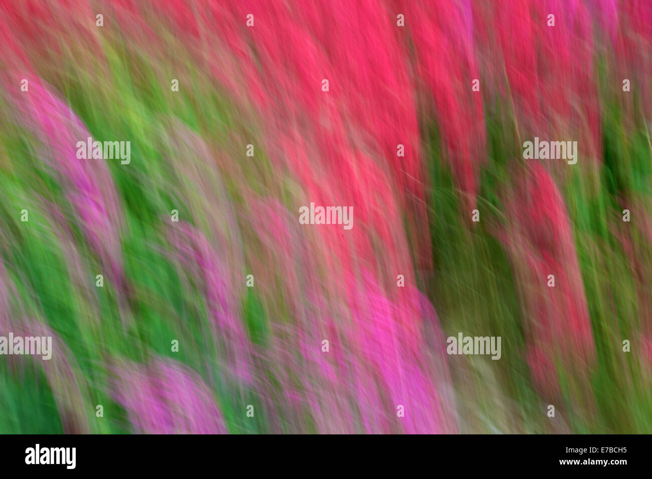 Burst motion effect hi res stock photography and images Alamy