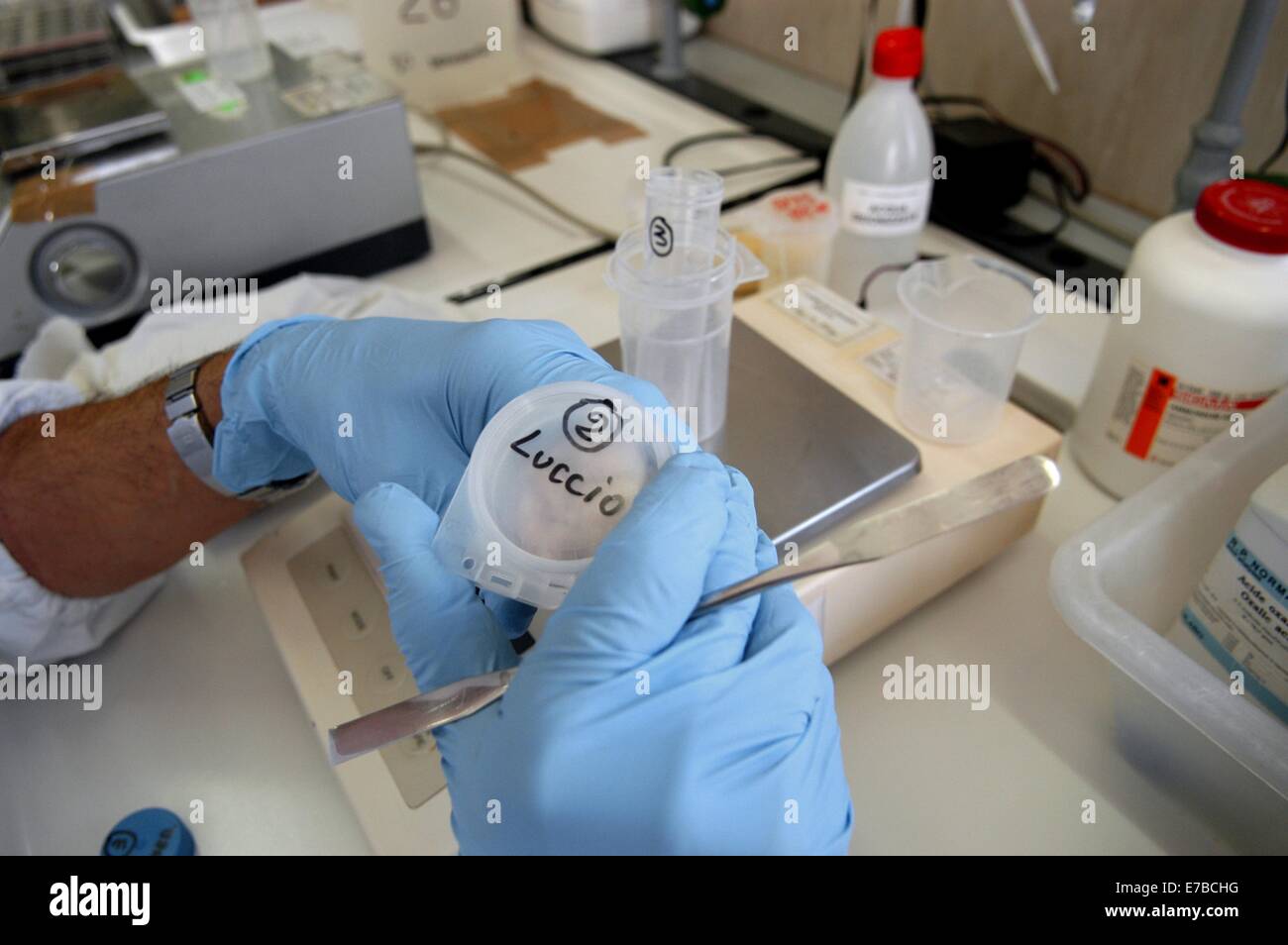 Experimental Zooprophylactic Institute of Padova (Italy), chemical