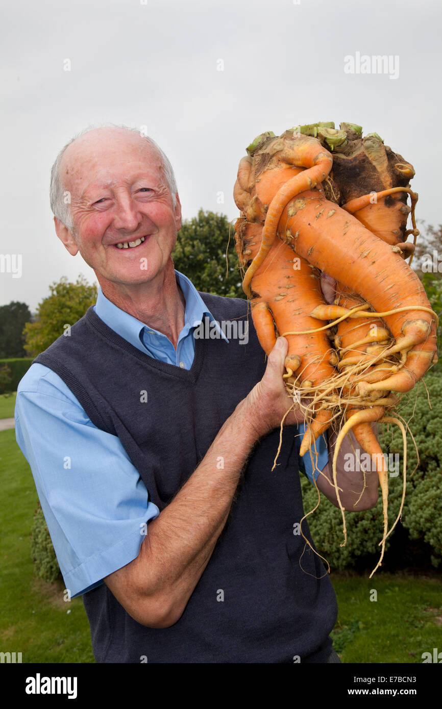 Harrogate, Yorkshire, UK. 12th Sep, 2014.  Peter Glazebrook, from Newark in Nottinghamshire winner with heaviest carrot (20lbs) at the Harrogate Annual Autumn Flower Show, where attractions include the giant vegetable competition, and deformed, misshapen, malformed, distorted, crooked, irregular, misproportioned, ill-proportioned, ill-shaped, ugly wonky vegetables. The show being  ranked as one of Britain's top three gardening events. Stock Photo