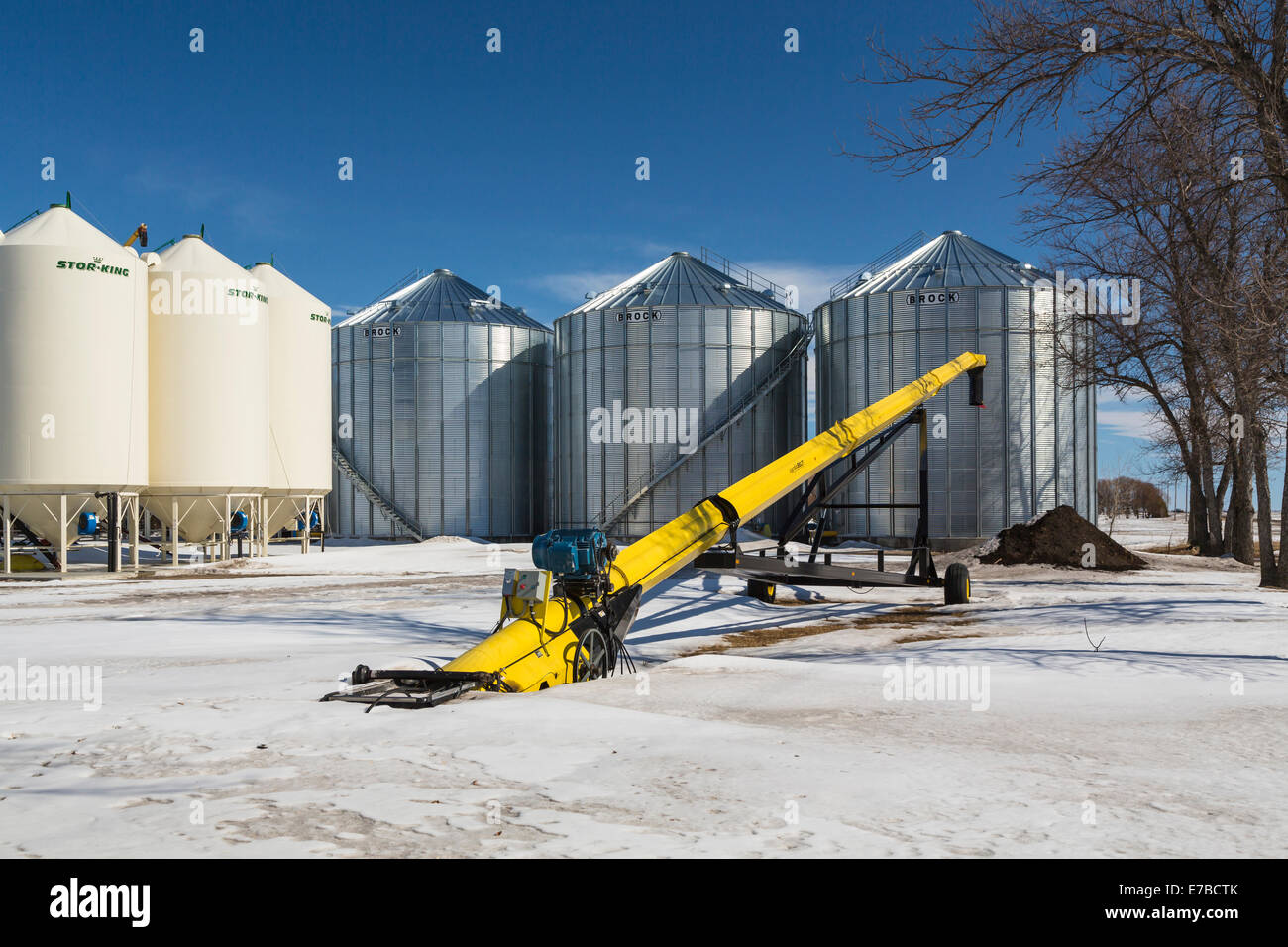 Grain storage bins on the Froese farm in winter near Winkler, Manitoba, Canada. Stock Photo