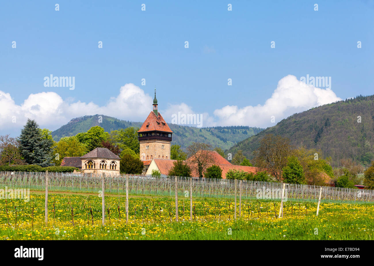 Geilweilerhof Institute for Grape Breeding, Siebeldingen, German Wine