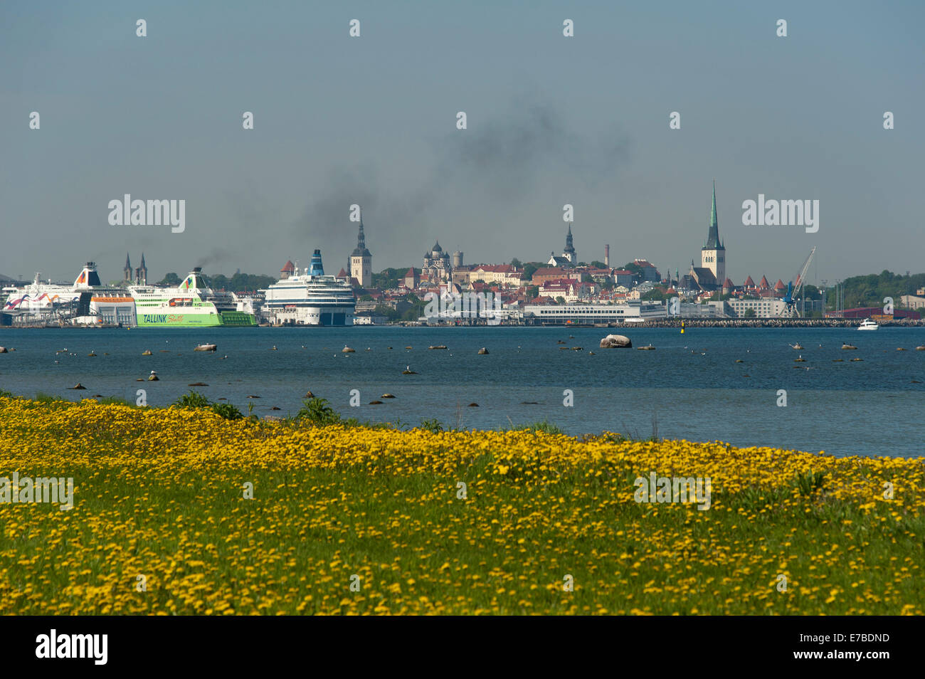 Panorama of tallinn hi-res stock photography and images - Alamy