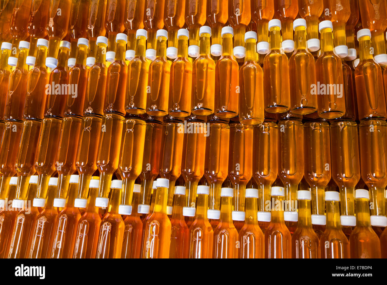 Bottles of apple cider in a wine cellar, Ulvik, Hardangerfjord