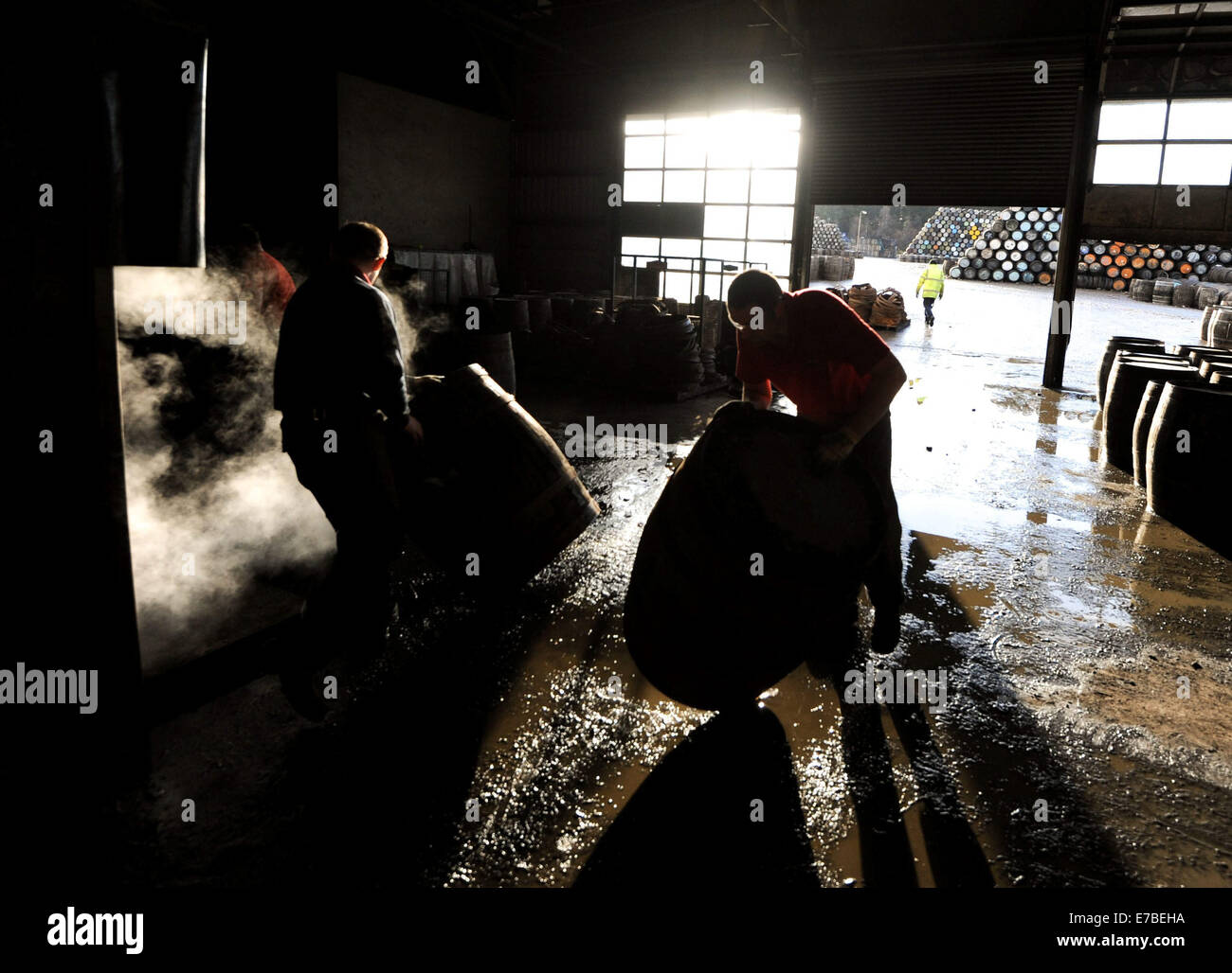 Coopers work on whisky casks at the Speyside Cooperage in Craigellachie, Scotland. Stock Photo