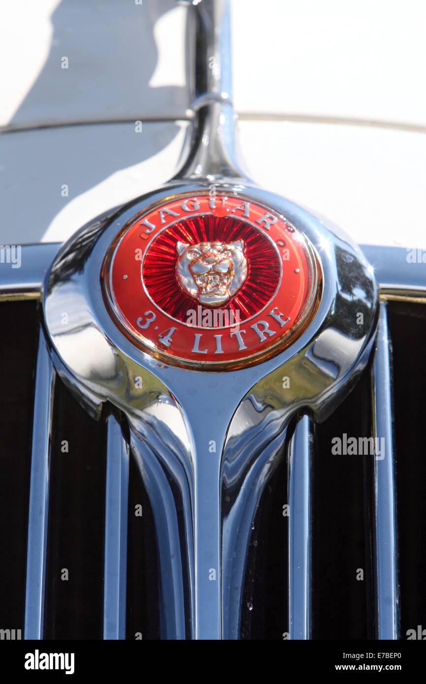 Close up of the radiator grille badge on a 1960s Jaguar 3.4 litre Mark 2. Stock Photo