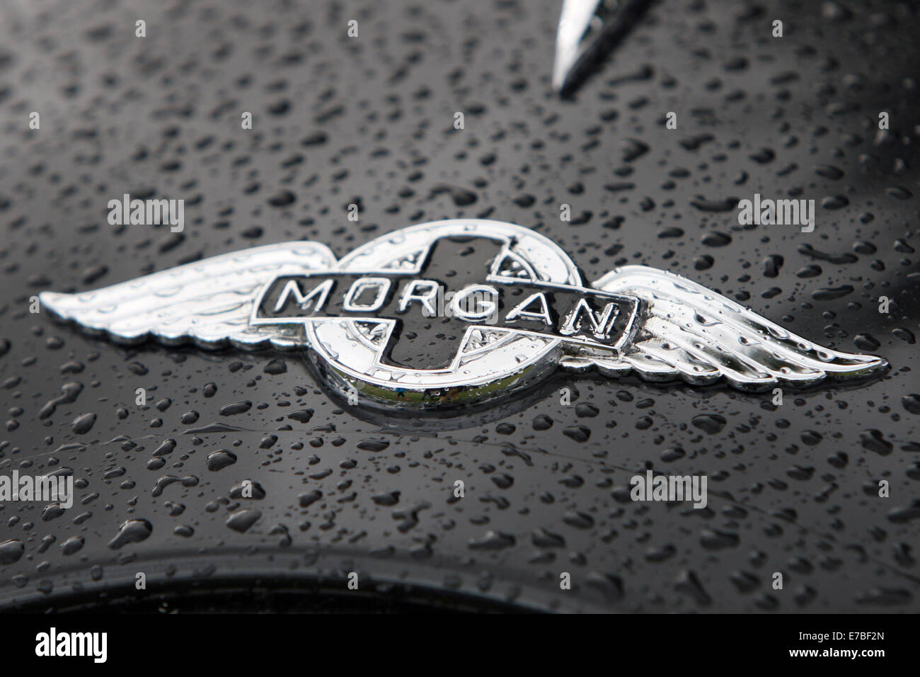 A Morgan car badge in the rain. The  low volume sports car manufacturer is based in Malvern, England. Stock Photo