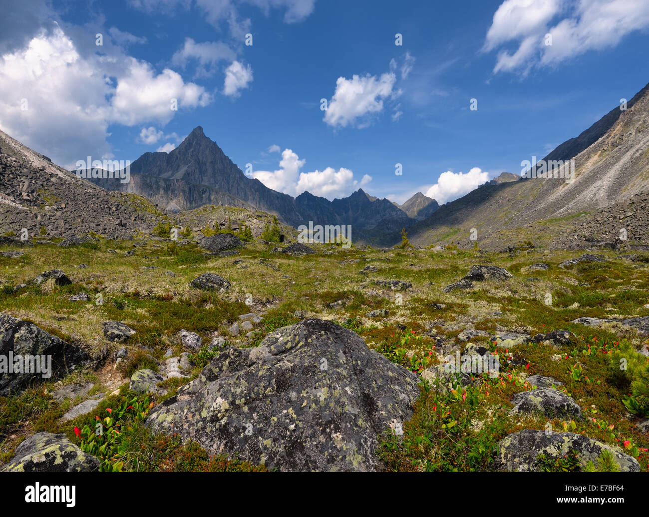 Alpine tundra in July. TUNKA ridge. Sayan mountains. Republic of Buryatia Stock Photo