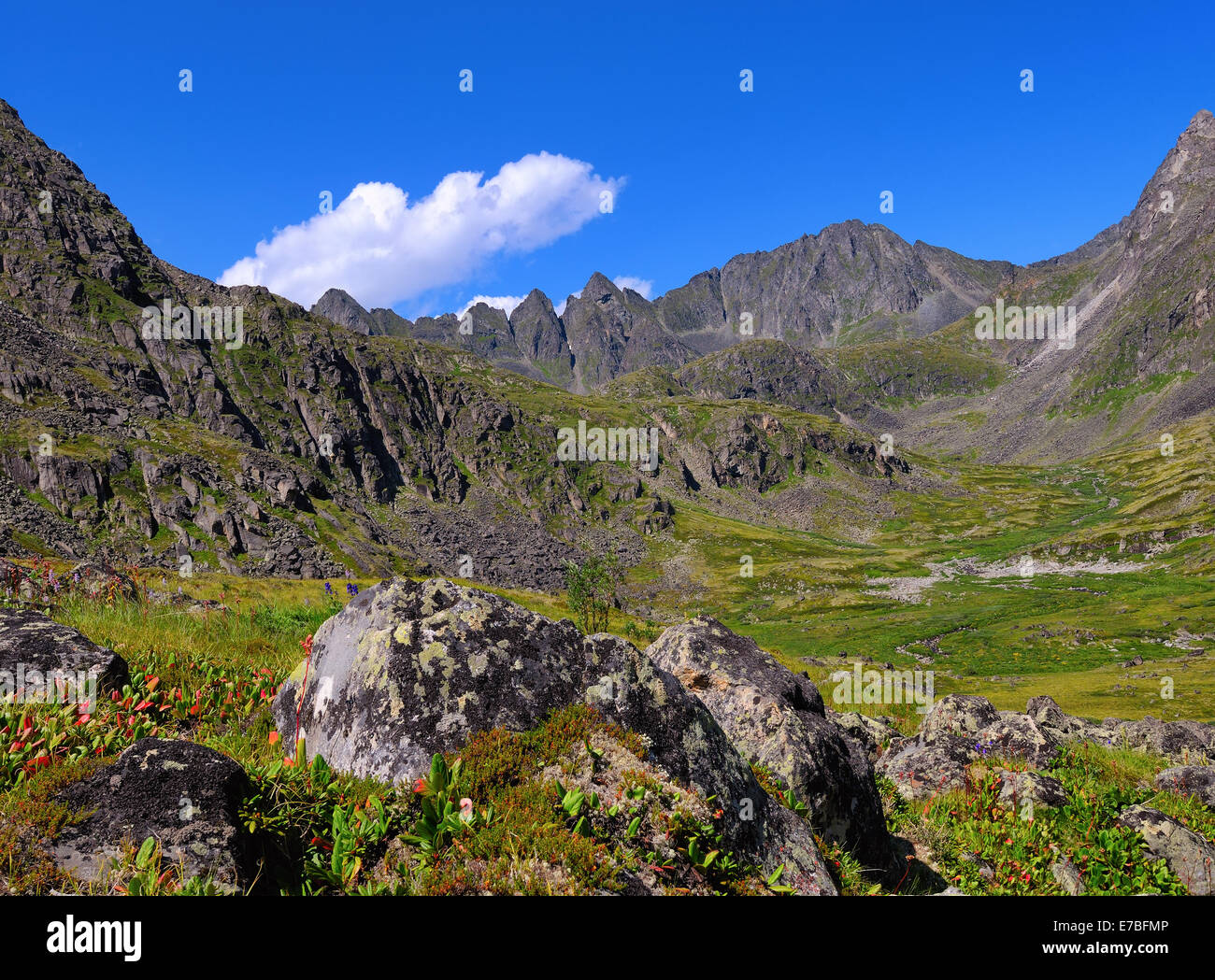 Siberian mountain tundra. Sayan mountains. Republic of Buryatia Stock Photo