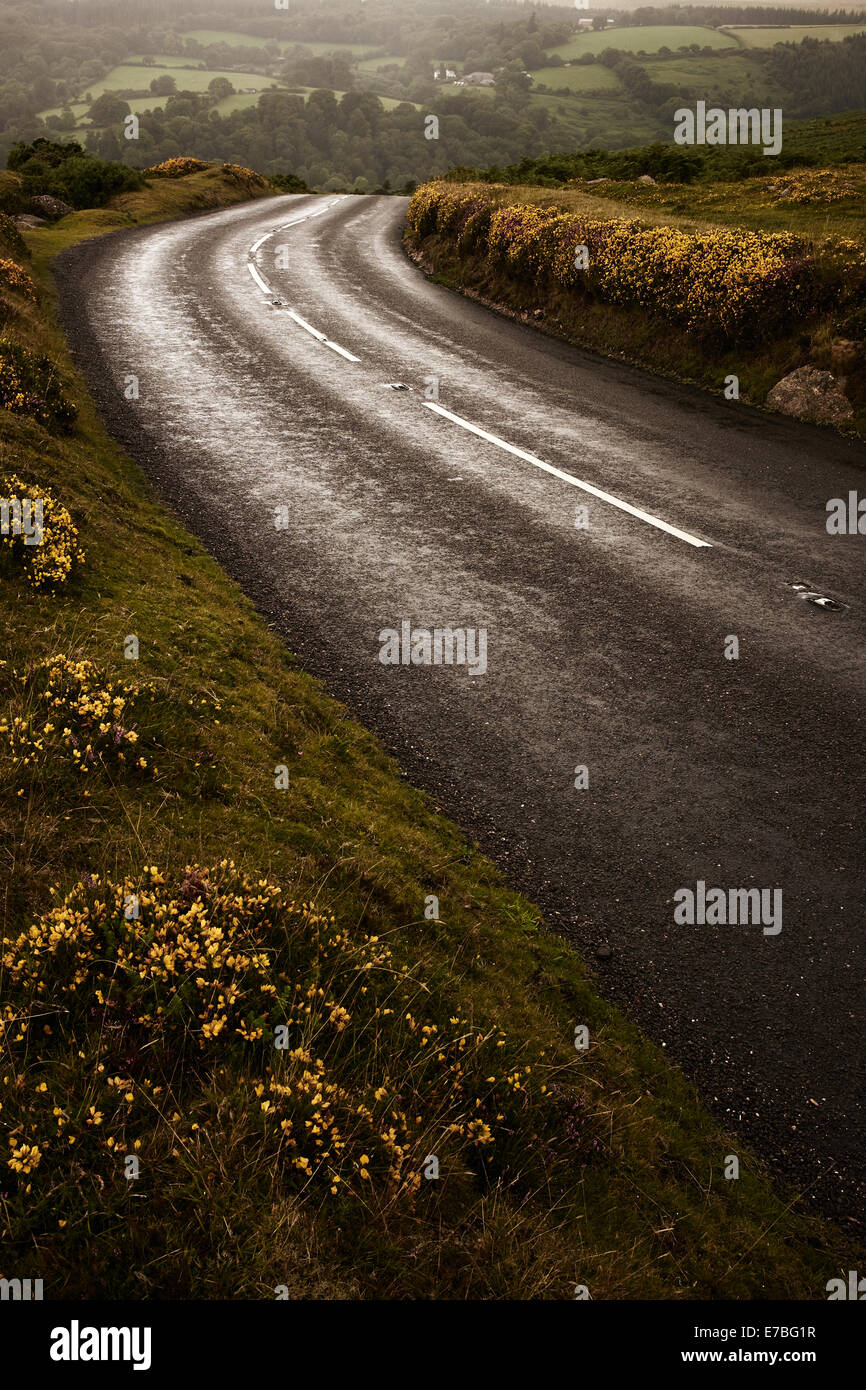 Empty country road through moorland. Stock Photo