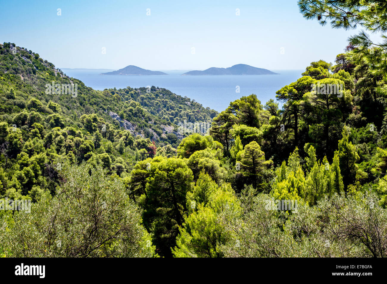 The Adelfi islands Megalo and Micro known as ' The Brothers ' from the wooded coast of Alonissos in the Sporades Islands Greece Stock Photo